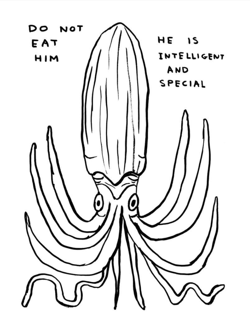 David Shrigley – Do not eat him, limitierte Auflage