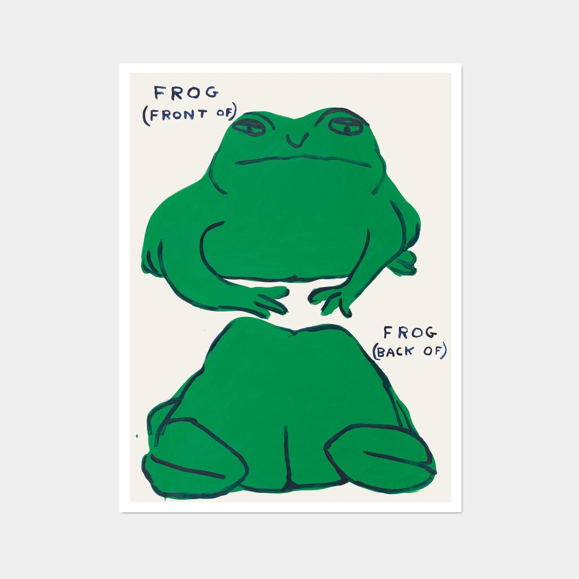 David Shrigley, Frog (front of), Frog (back of), 2021

60 x 80 cm

Off-set lithography

Printed on 200g Munken Lynx paper

Narayana Press in Denmark


British artist David Shrigley is best known for his distinctive drawing style and works that make