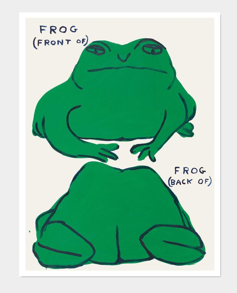 David Shrigley
Frog (Front Of), Frog (Back Of) (2021)
80 x 60 cm
Off-set lithography
Printed on 200g Munken Lynx paper