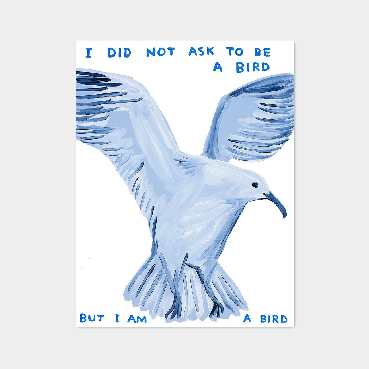 David Shrigley, I Did Not Ask To Be A Bird, 2021

Off-set lithograph
Open edition, unframed 
60 x 80 cm (23.62 x 31.5 inches) 
Printed on 200g Munken Lynx paper by Narayana Press in Denmark 

This print is based on the original acrylic on paperwork