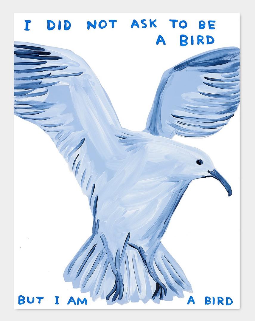 David Shrigley
Je n'ai pas demandé à être un oiseau (2021)
80 x 60 cm
Lithographie offset
Imprimé sur papier Munken Lynx 200g
