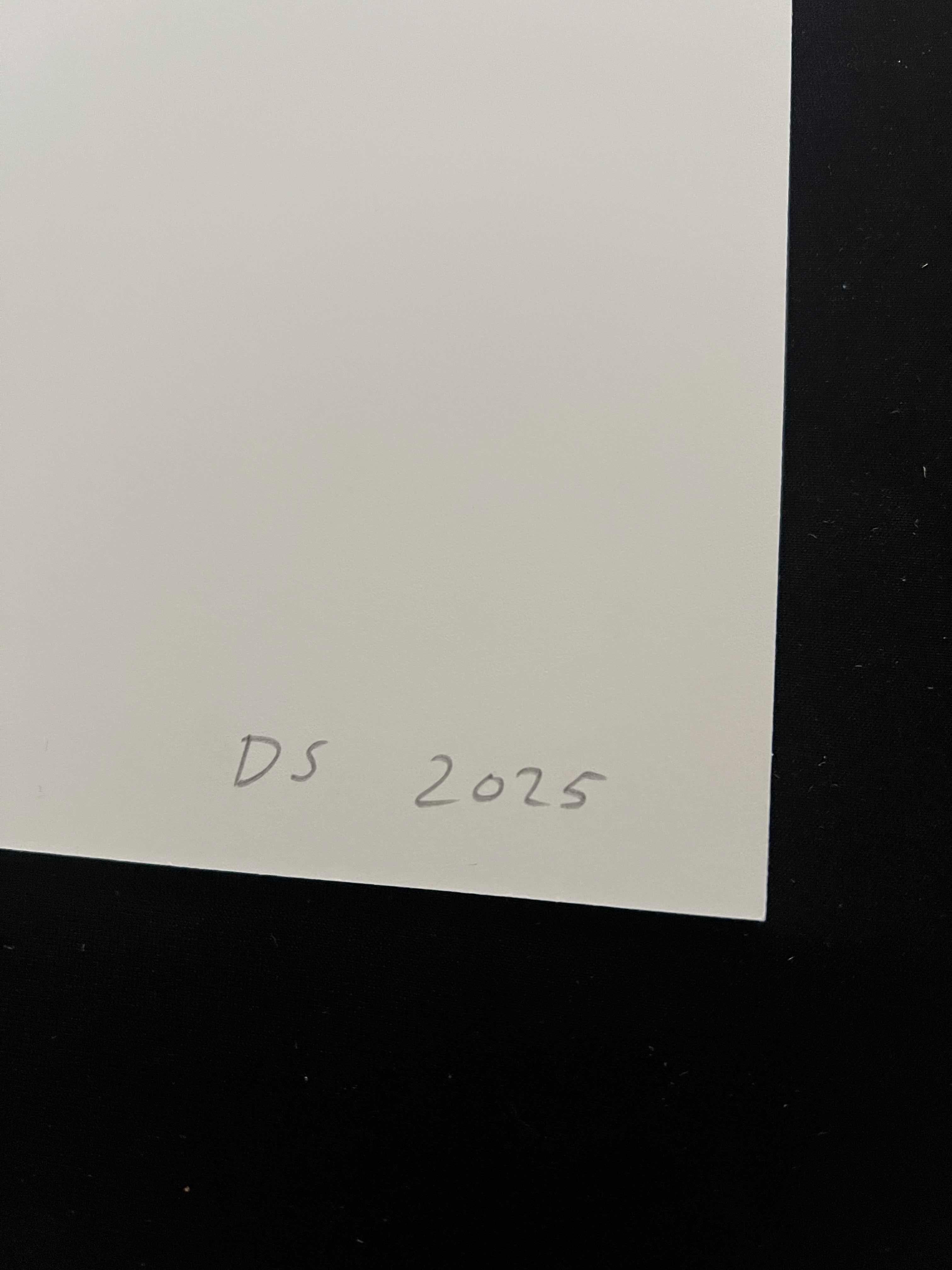 David Shrigley - I Will Not Allow The Dark Skies To Affect Me For Sale 6