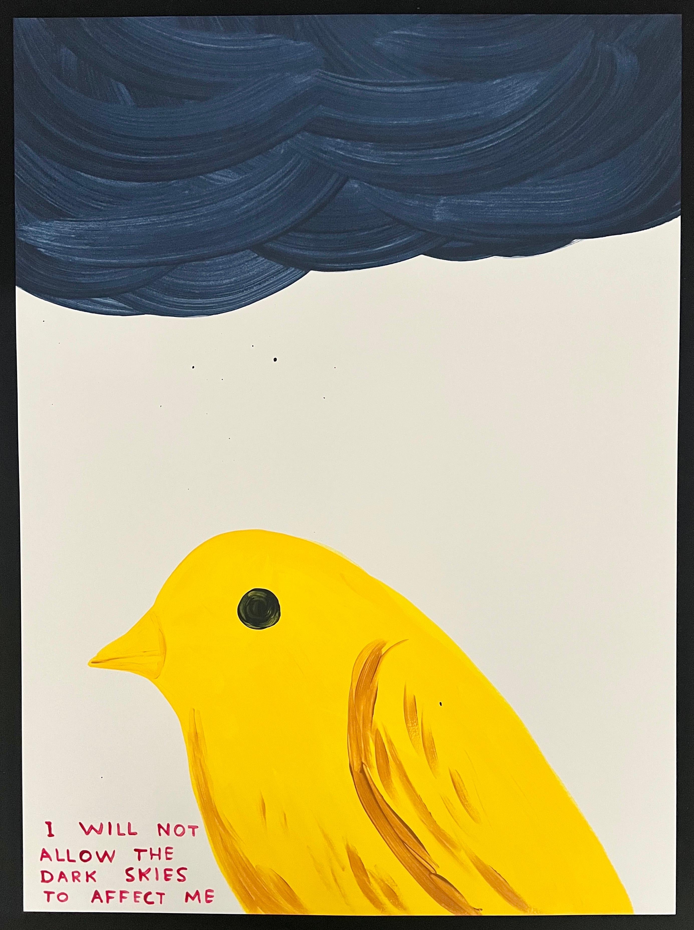 David Shrigley - I Will Not Allow The Dark Skies To Affect Me For Sale 1