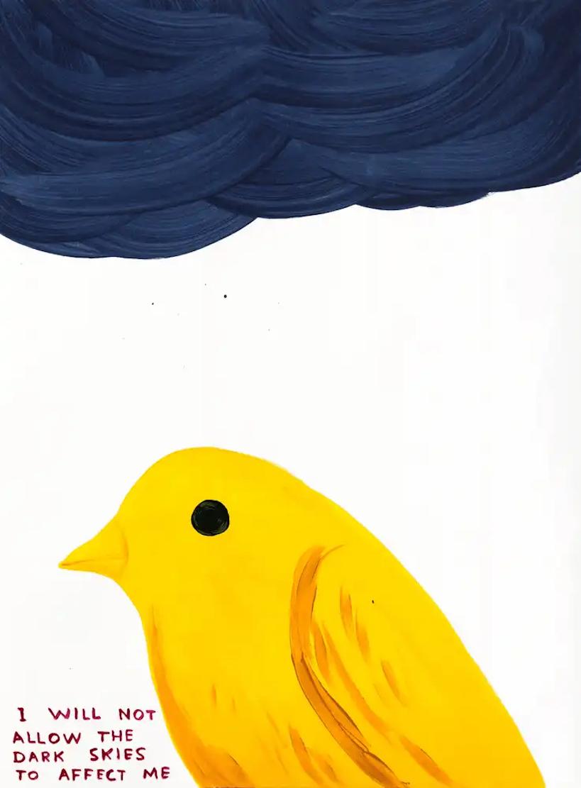 David Shrigley - Non permetterò ai cieli bui di influenzarmi