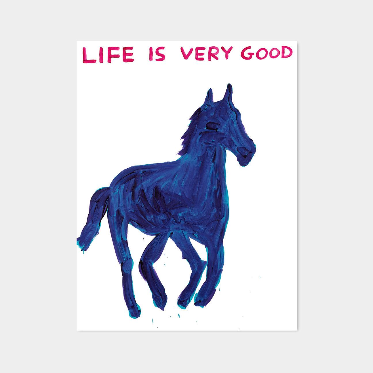 David Shrigley, Life Is Very Good, 2016

Off-set lithograph
Open edition, unframed 
60 x 80 cm (23.62 x 31.5 inches) 
Printed on 200g Munken Lynx paper by Narayana Press in Denmark 

David Shrigley’s work is humorous, interspersed with his witty