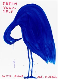 David Shrigley - Preen Yourself