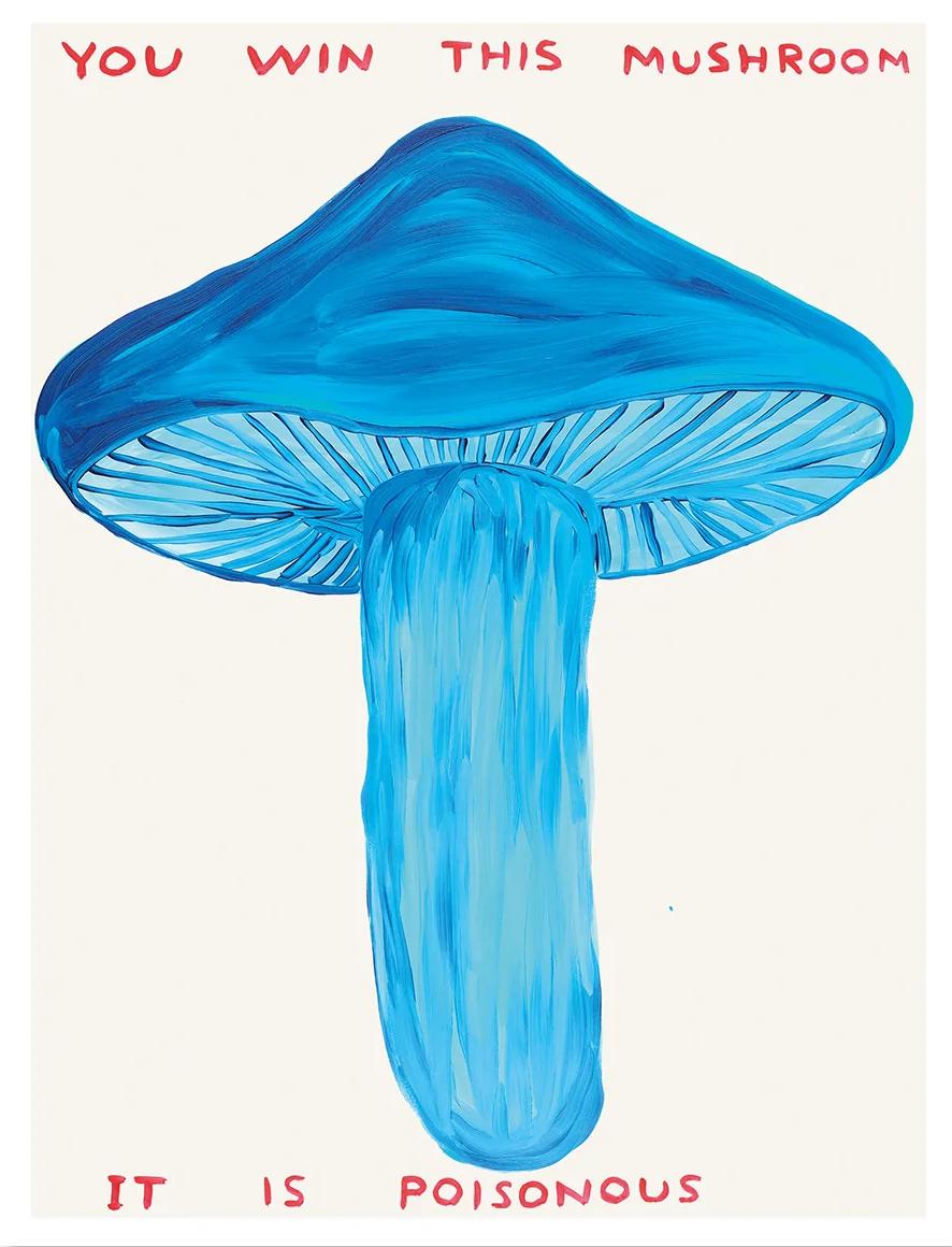 David Shrigley (English b. 1968)
You Win This Mushroom, 2020
Off-set lithograph
Open edition, unframed
60 x 80 cm (23.62 x 31.5 inches)
Printed on 200g Munken Lynx paper by Narayana Press in Denmark

This print is based on the original acrylic on