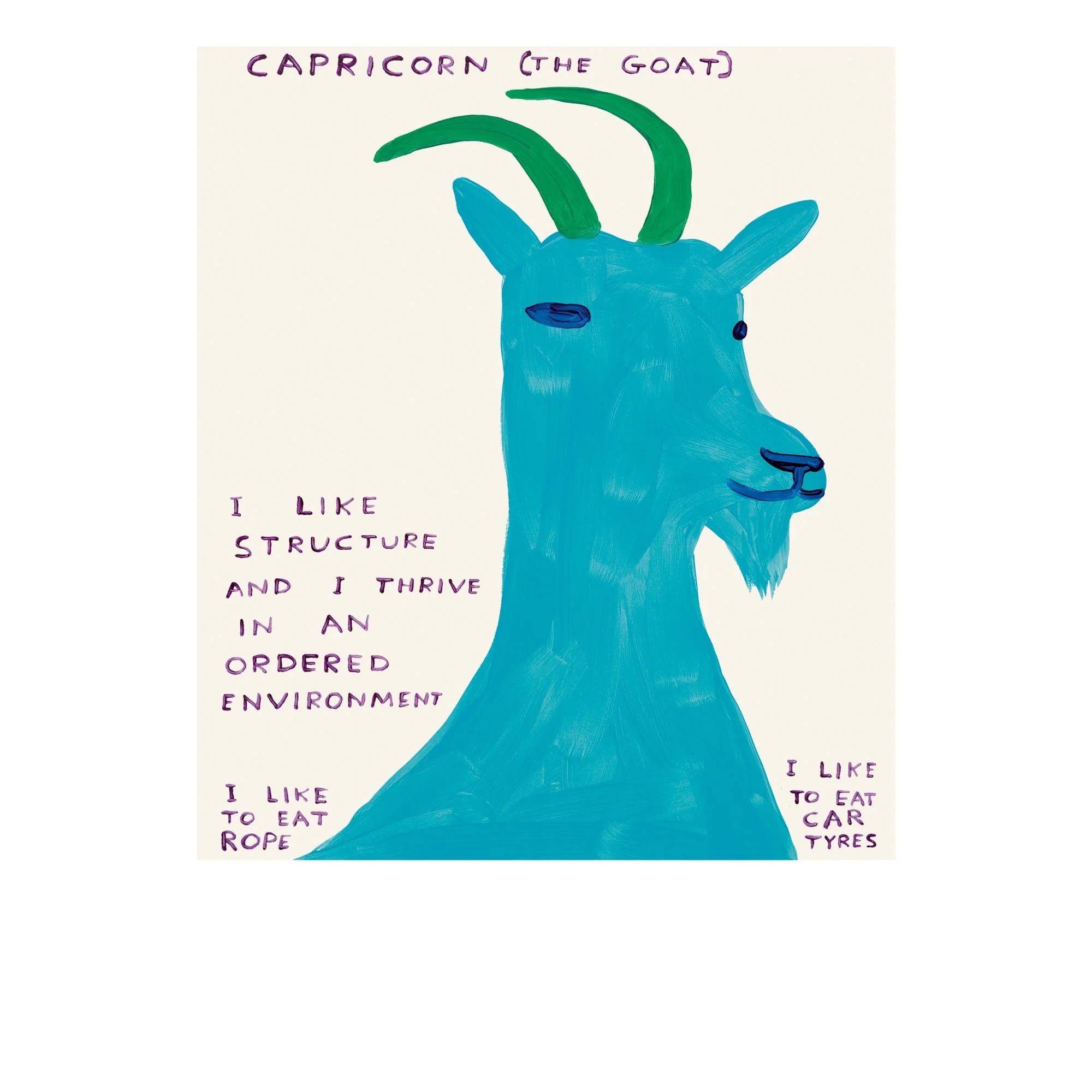 David Shrigley - Signs of the Zodiac For Sale 8