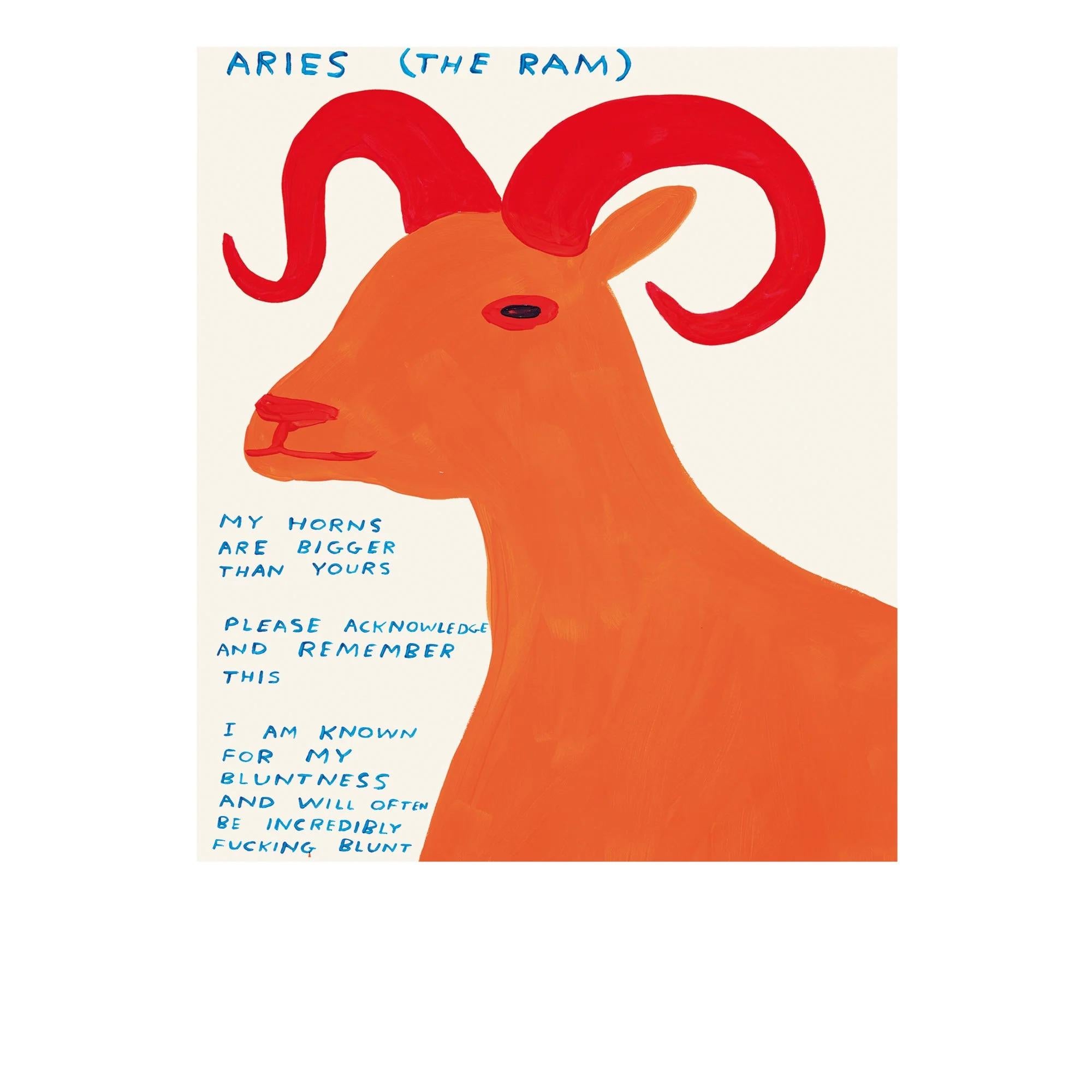 David Shrigley - The Signs of the Zodiac 2