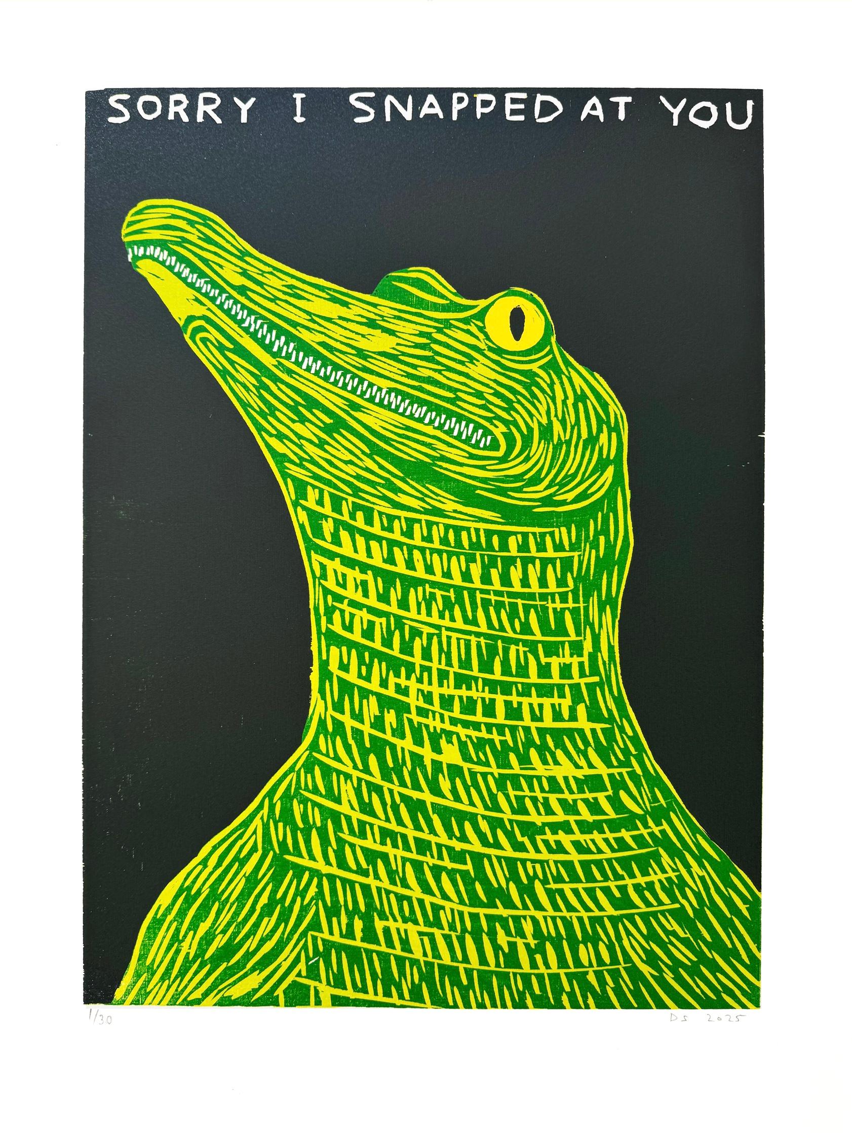 David Shrigley
Sorry I Snapped At You, 2025
Woodcut
53 x 40 cm
Edition of 30
hand-signed and numbered by the artist
published by Shäfer Editions and comes with COA from the publishers

David Shrigley, a British artist known for his dark humour and
