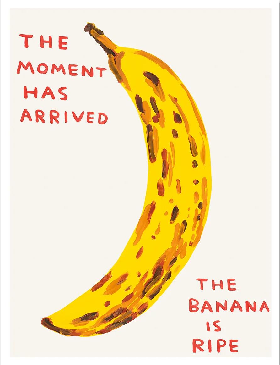 David Shrigley 'The Moment Has Arrived' banana print