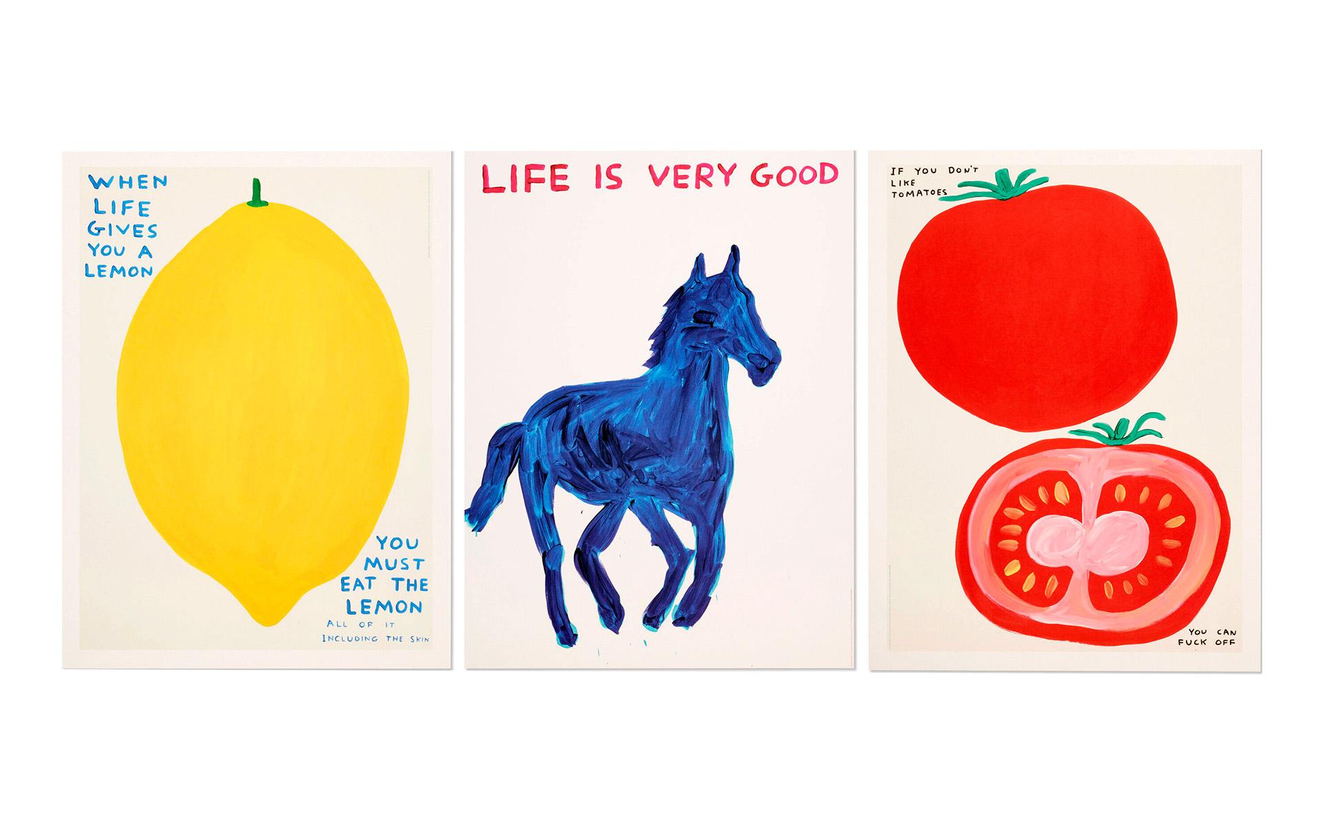 David Shrigley Three Works 2021:
Rare collection of three Shrigley works published by Shrig Shop, Copenhagen. Features Shrigley's works "If You Don't Like Tomatoes", "When Life Gives you Lemons" and "Life is Very Good."

Medium: Offset lithograph in