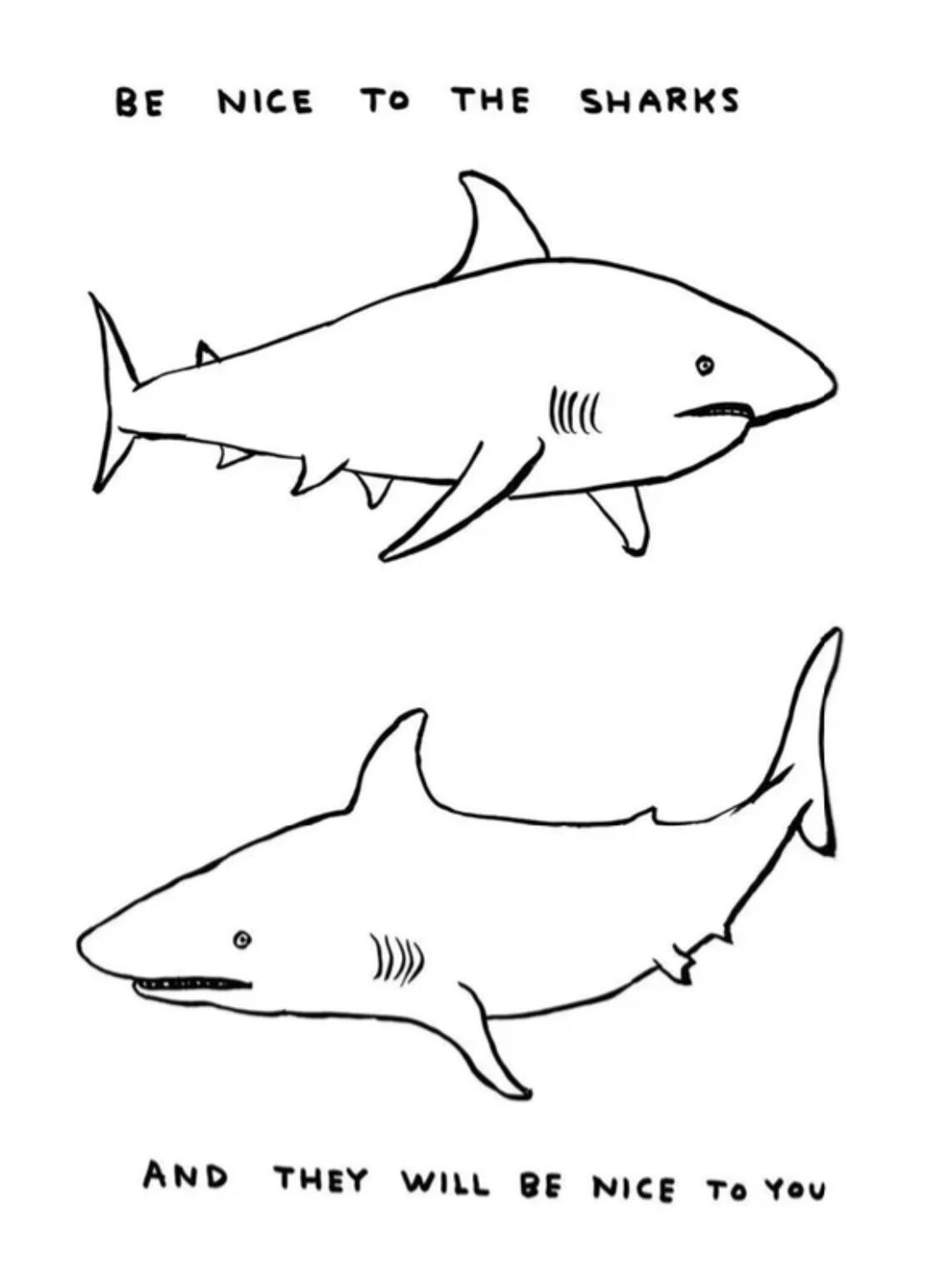 David Shrigley – Ohne Titel (Be Nice to Sharks), 2023