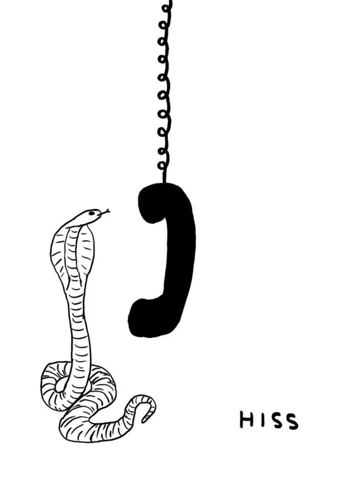 David Shrigley
Untitled (Hiss), 2023
Off-set lithography Printed on 200g Munken Lynx
27 3/5 × 19 7/10 in  70 × 50 cm
Edition of 350
Not signed nor numbered
Published by Shrig Shop, Copenhagen