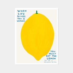David Shrigley, When Life Gives You A Lemon