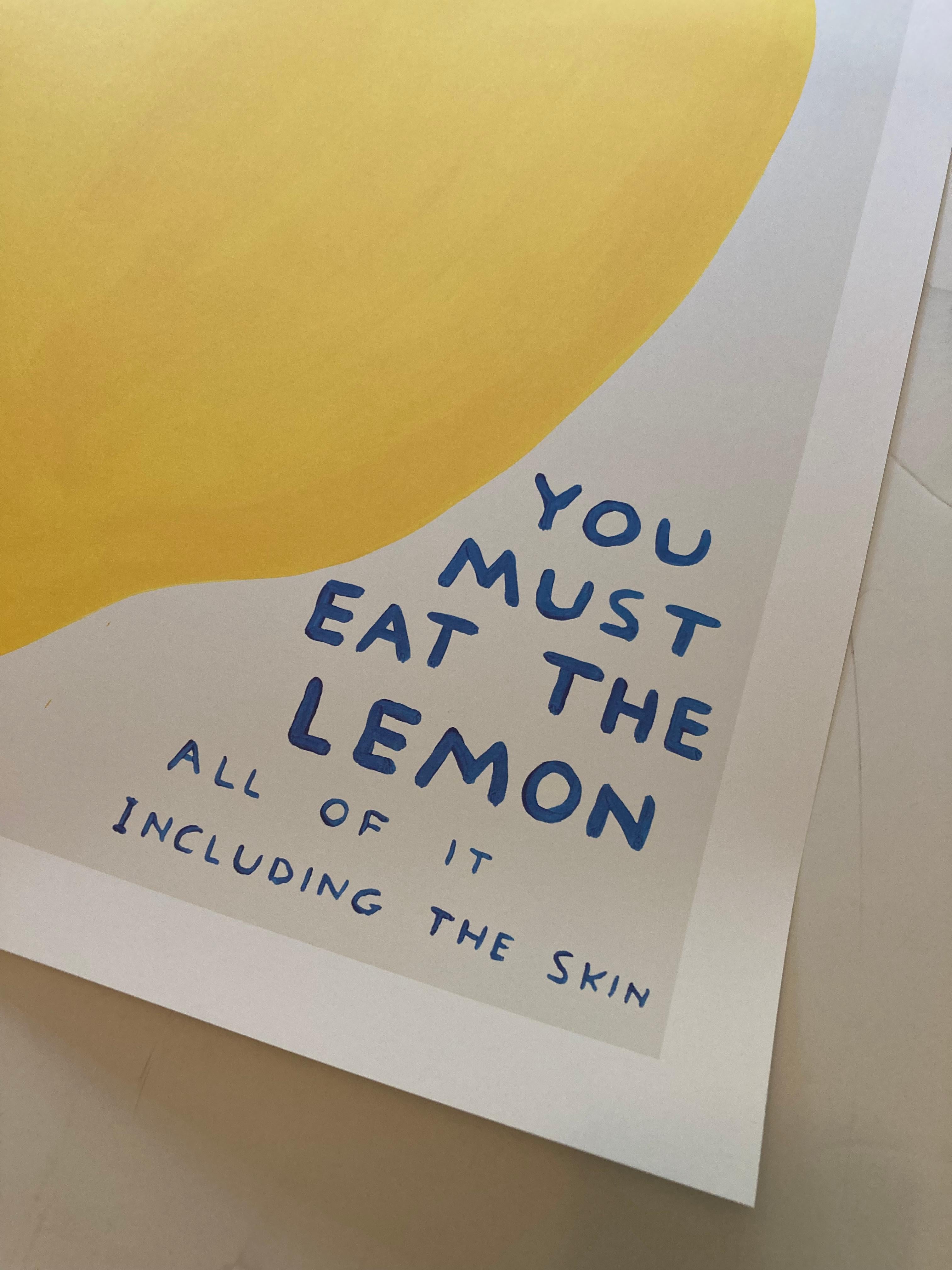 david shrigley lemons