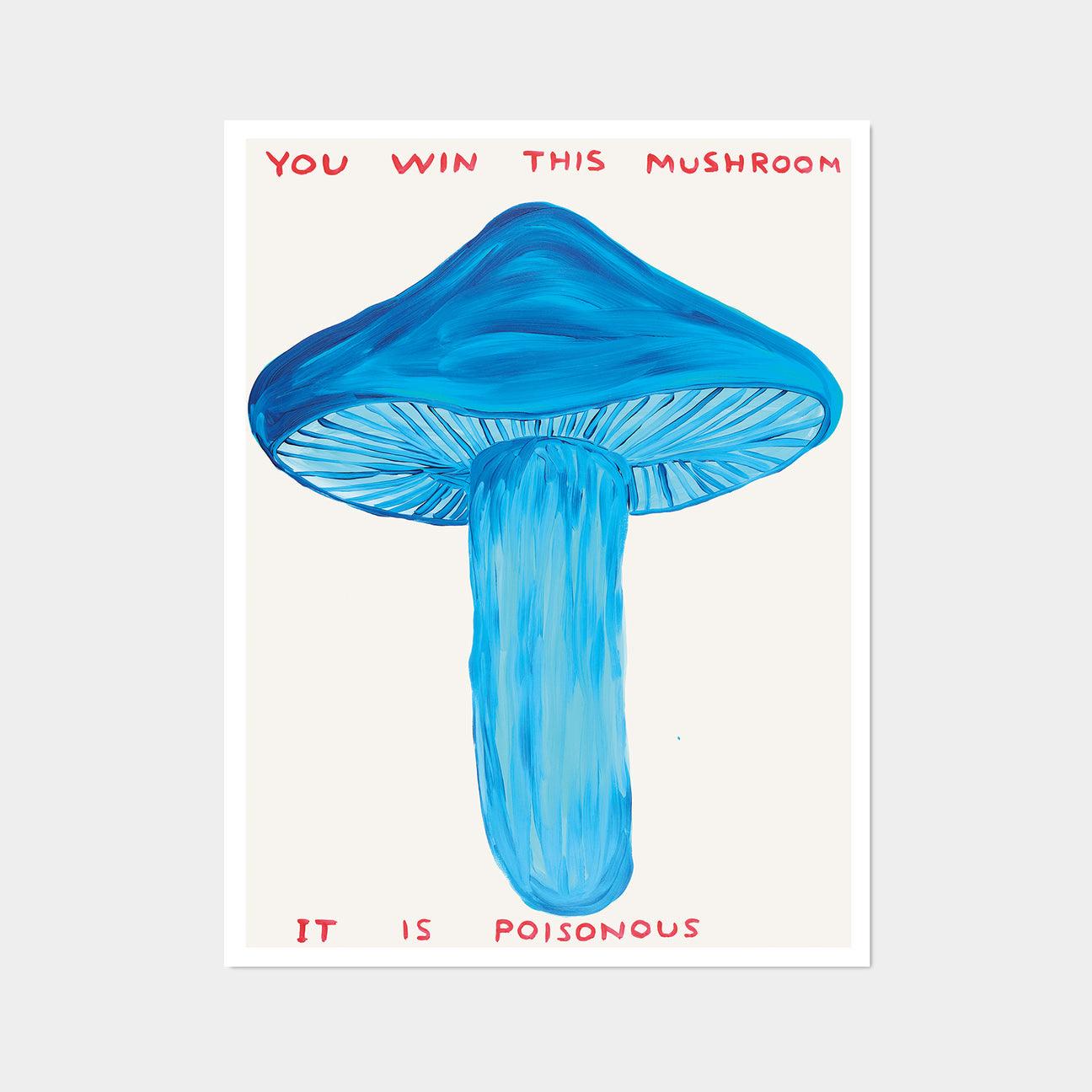 David Shrigley, You Win This Mushroom, 2020 

Off-set lithograph
Open edition, unframed 
60 x 80 cm (23.62 x 31.5 inches) 
Printed on 200g Munken Lynx paper by Narayana Press in Denmark 

David Shrigley’s work is humorous, interspersed with his