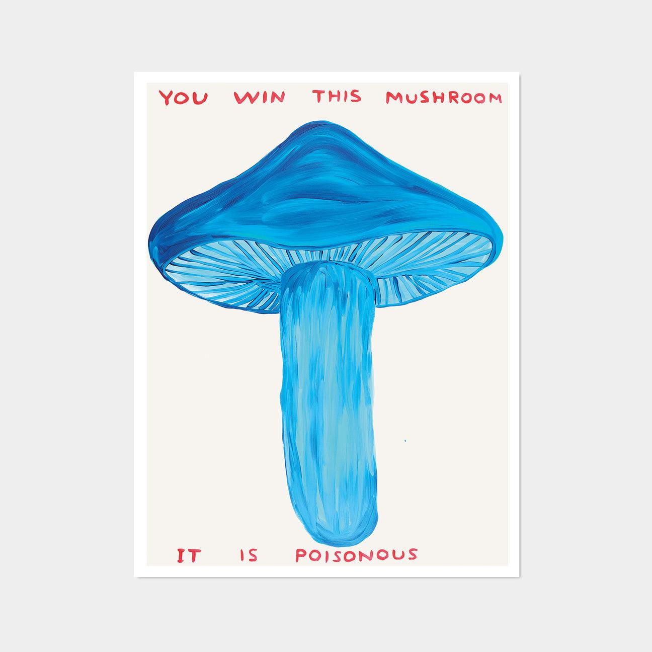 David Shrigley, You Win This Mushroom, 2020 

Off-set lithograph
Unframed 
60 x 80 cm (23.62 x 31.5 inches) 
Printed on 200g Munken Lynx paper by Narayana Press in Denmark 

David Shrigley’s work is humorous, interspersed with his witty observations