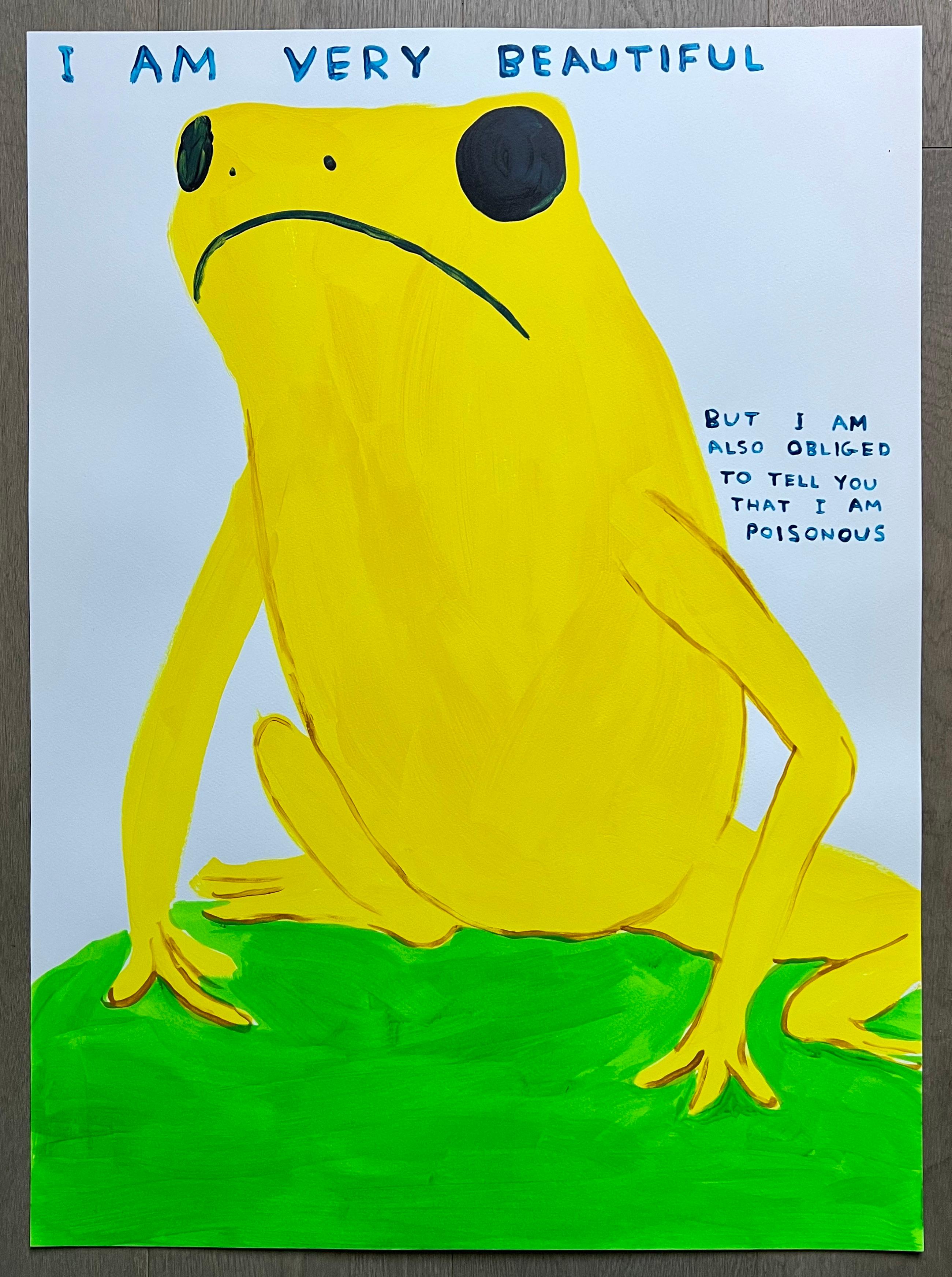 I am Very Beautiful, But I Am Also Obliged To Tell You I Am Poisonous - Print by David Shrigley