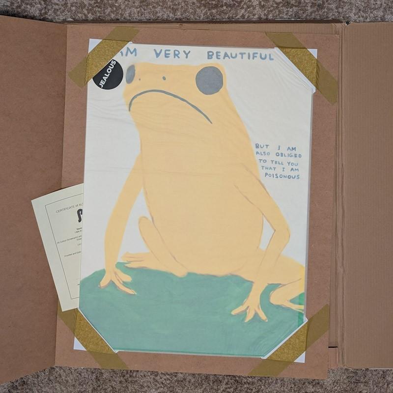 Soy Muy Bella, Pero También Estoy Obligada A Decirte Que Soy Venenosa - Print de David Shrigley