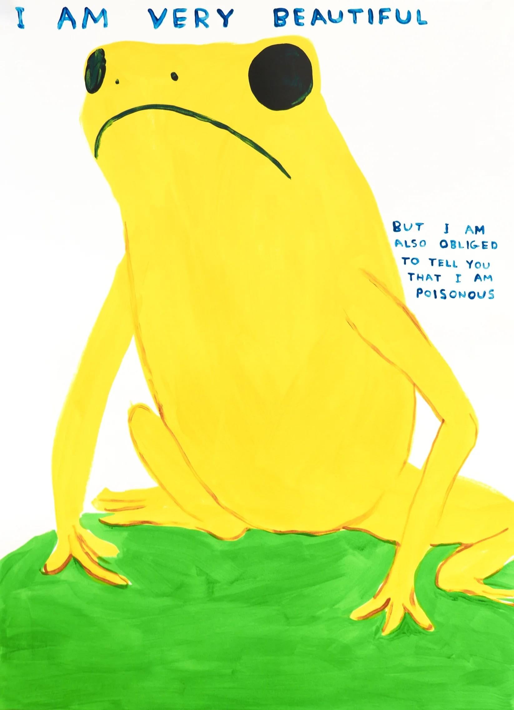 I Am Very Beautiful

By David Shrigley

David Shrigley is a British visual artist known for his distinctive, darkly humorous
drawings, animations, and sculptures. With a style characterized by simple line
drawings and witty, often absurd commentary