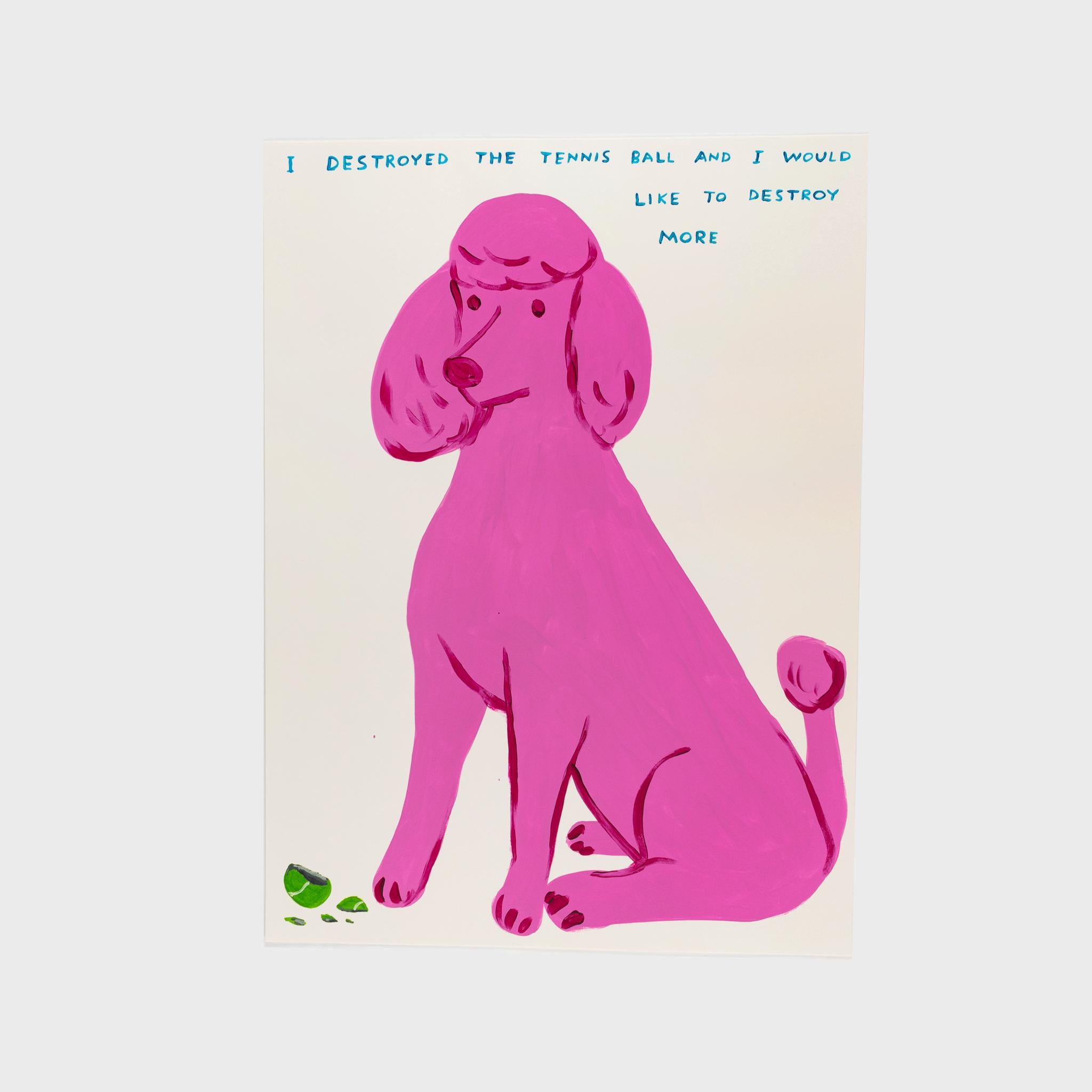 David Shrigley Animal Print - I Destroyed The Tennis Ball And I Would Like To Destroy More