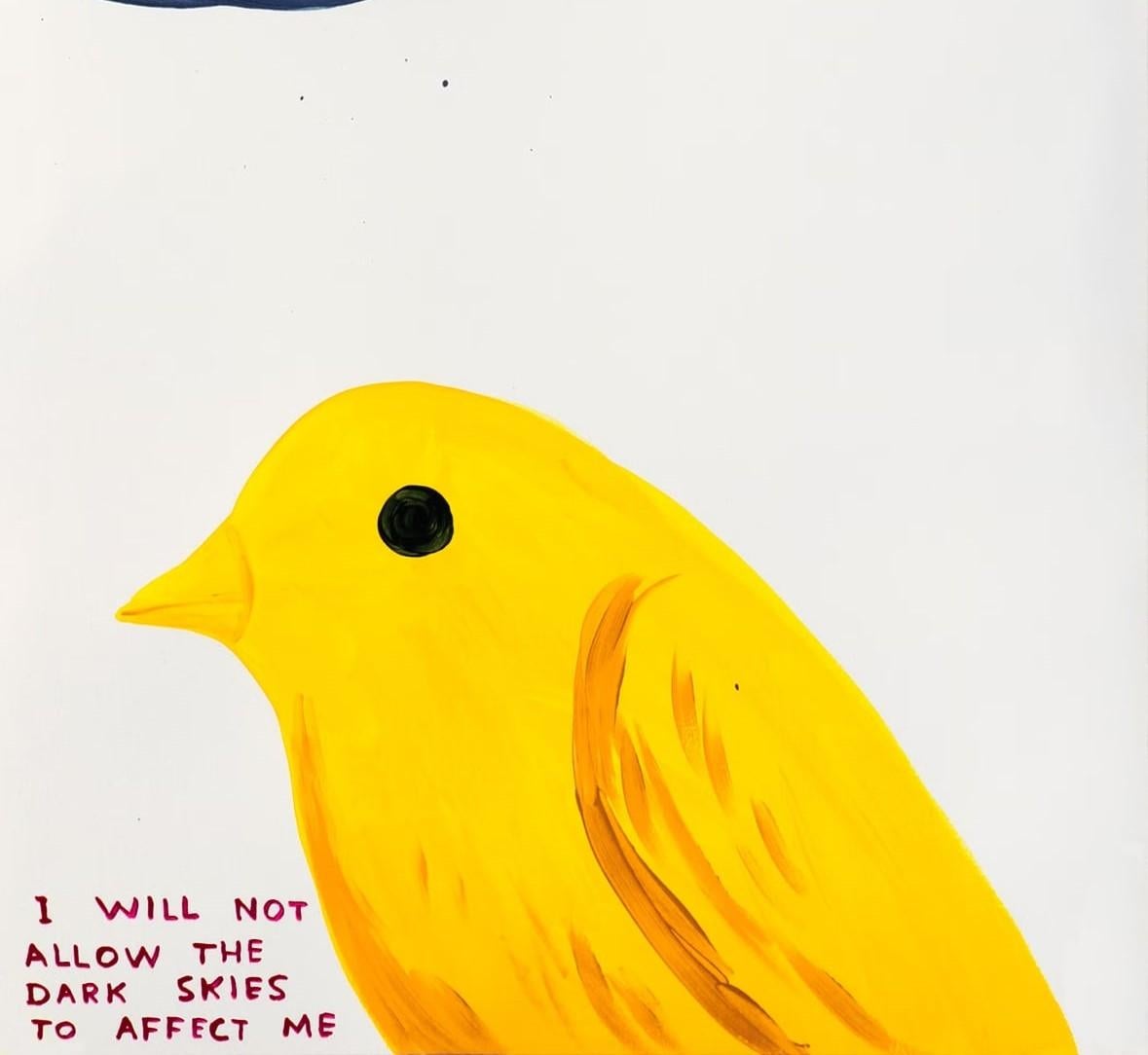 I Will Not Allow The Dark Skies To Affect Me By David Shrigley For Sale 1