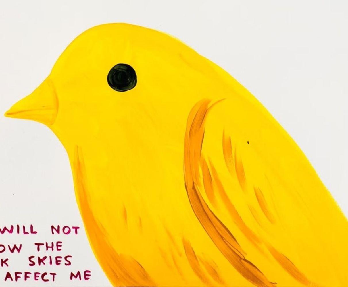 I Will Not Allow The Dark Skies To Affect Me By David Shrigley For Sale 2