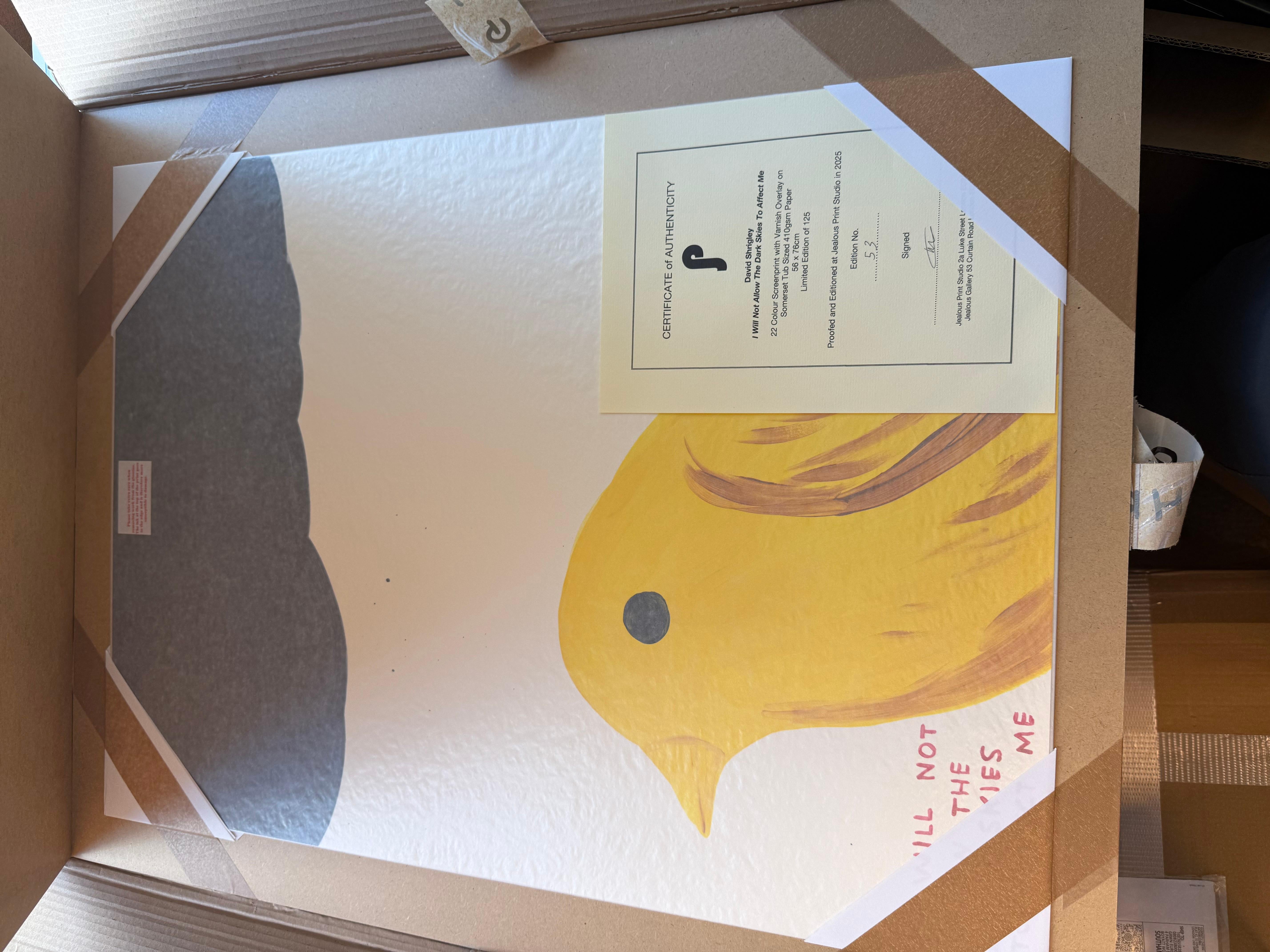 I Will Not Allow The Dark Skies To Affect Me By David Shrigley For Sale 6