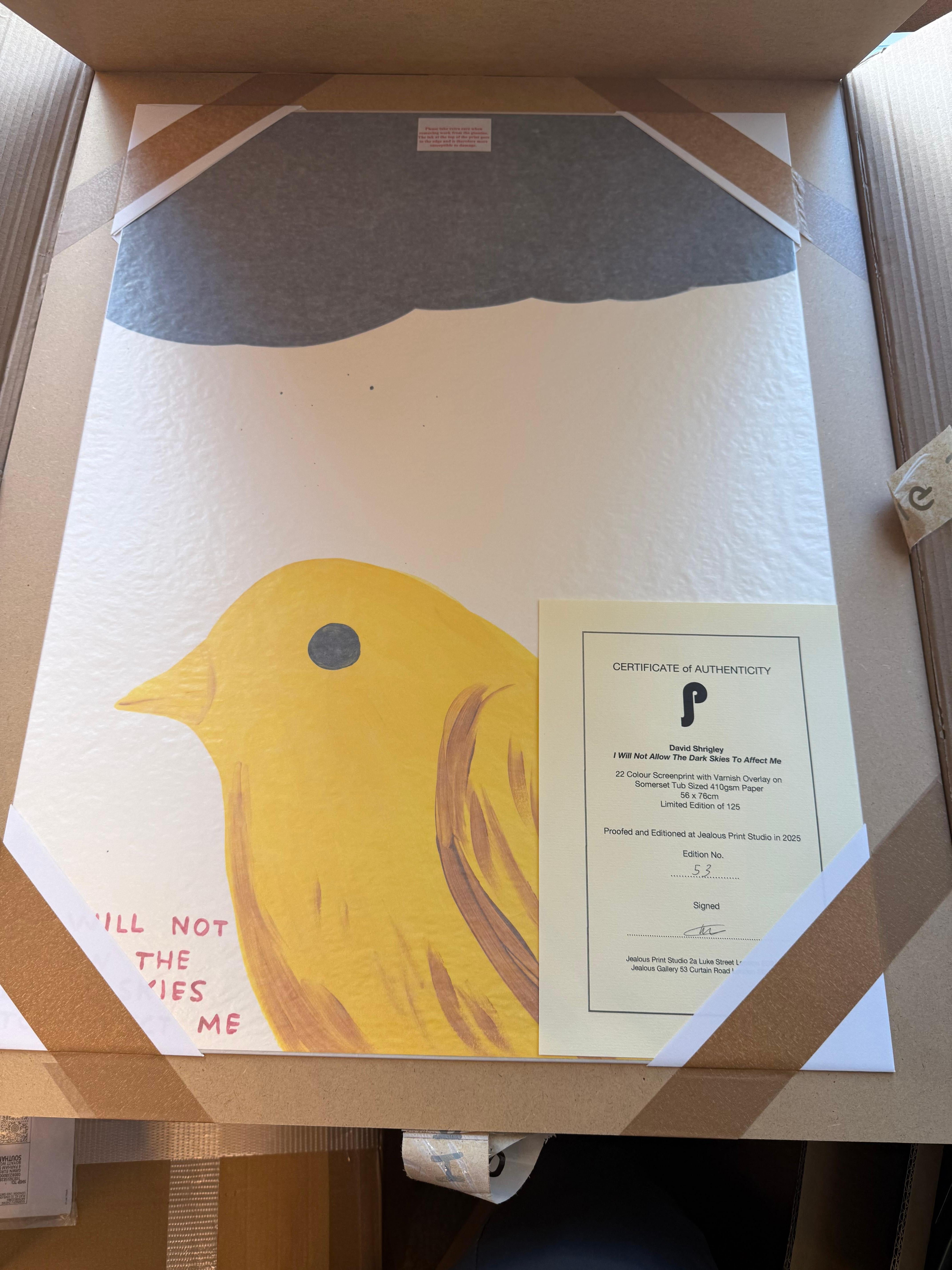 No permitiré que los cielos oscuros me afecten Por David Shrigley en venta 6