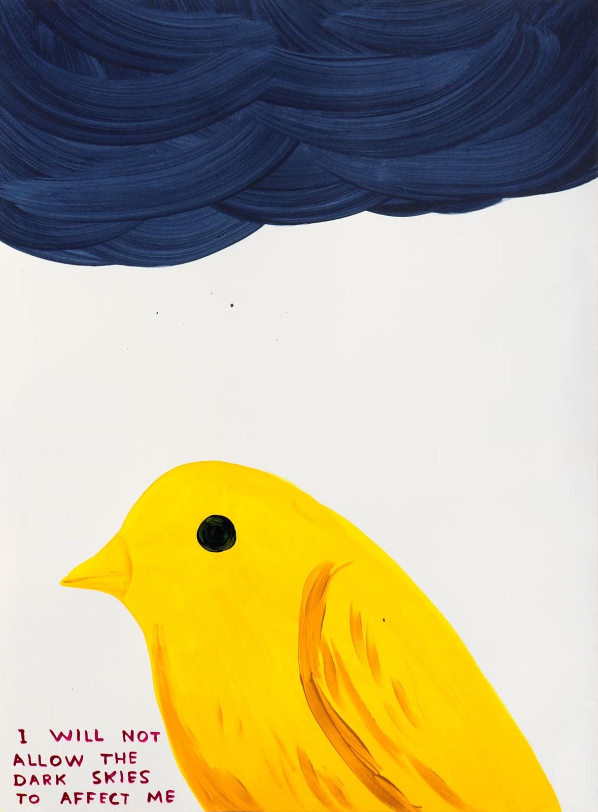I Will Not Allow The Dark Skies To Affect Me

By David Shrigley

David Shrigley is a British visual artist known for his distinctive, darkly humorous drawings, animations, and sculptures. With a style characterized by simple line drawings and witty,