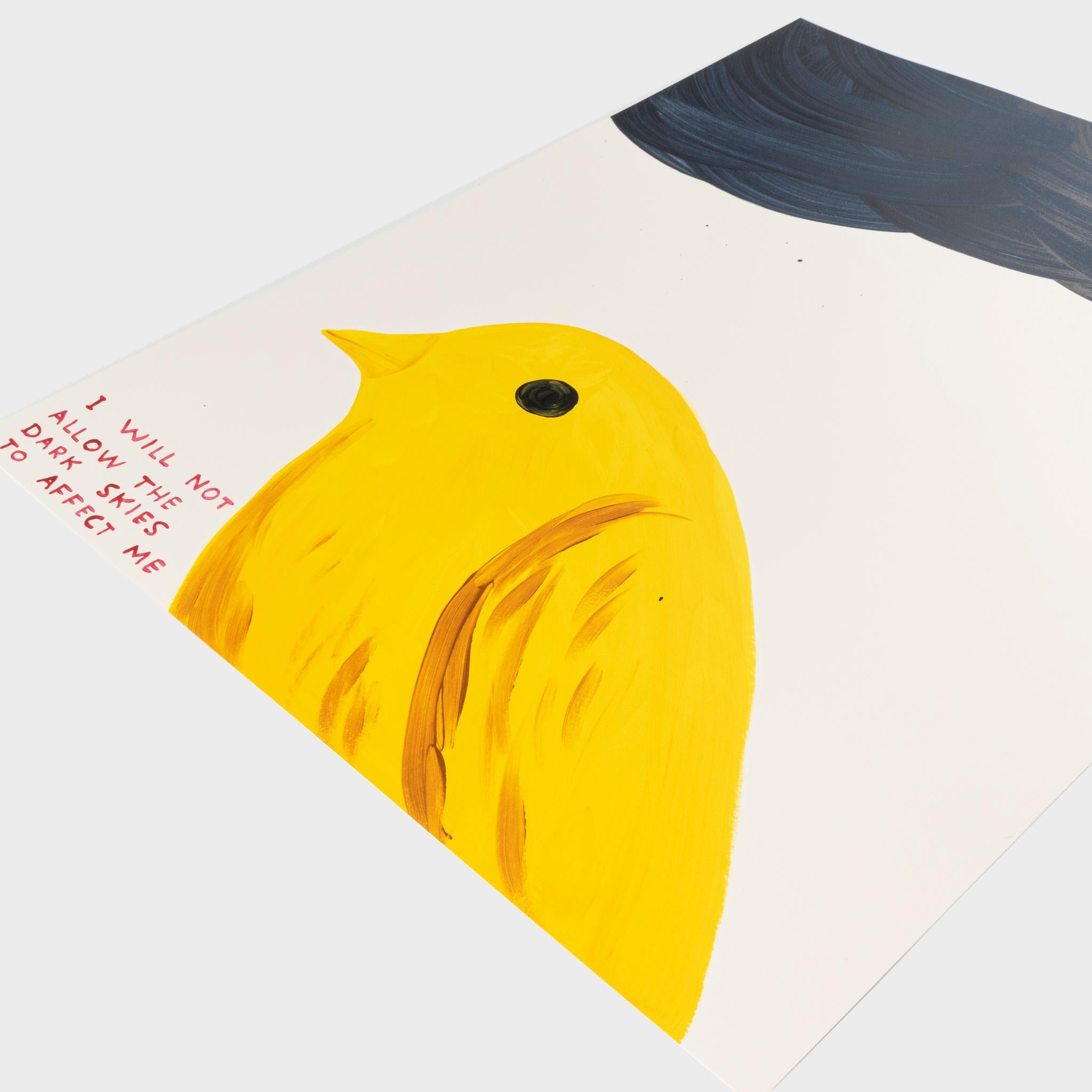 I Will Not Allow The Dark Skies To Affect Me - Contemporary Print by David Shrigley