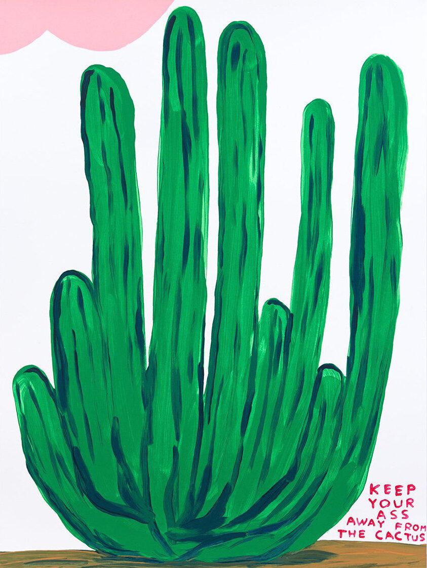 David Shrigley Still-Life Print - Keep Your Ass Away From The Cactus -- Screenprint, Flowers, Text Art by Shrigley
