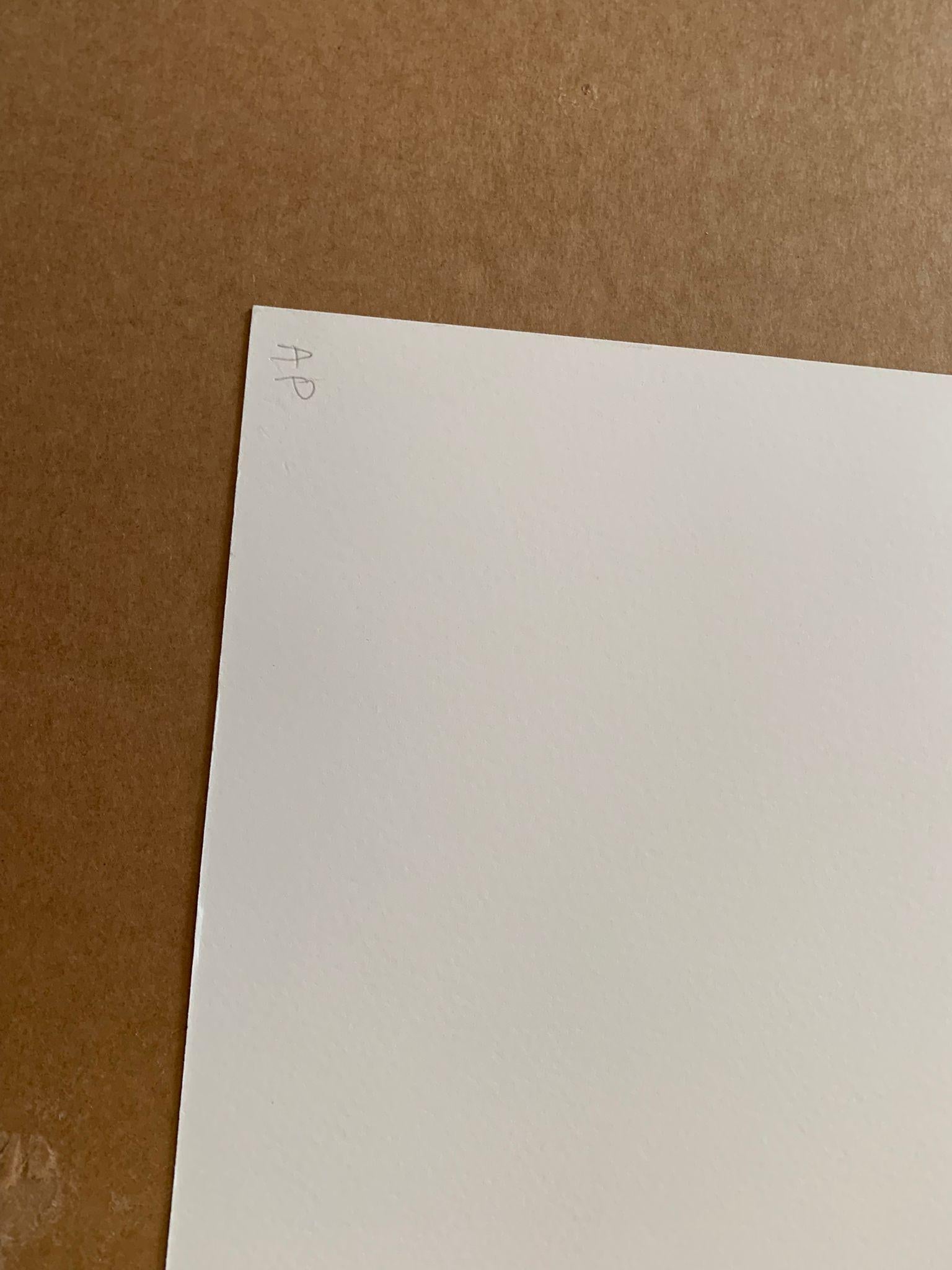 My Rampage is Over For Sale 4