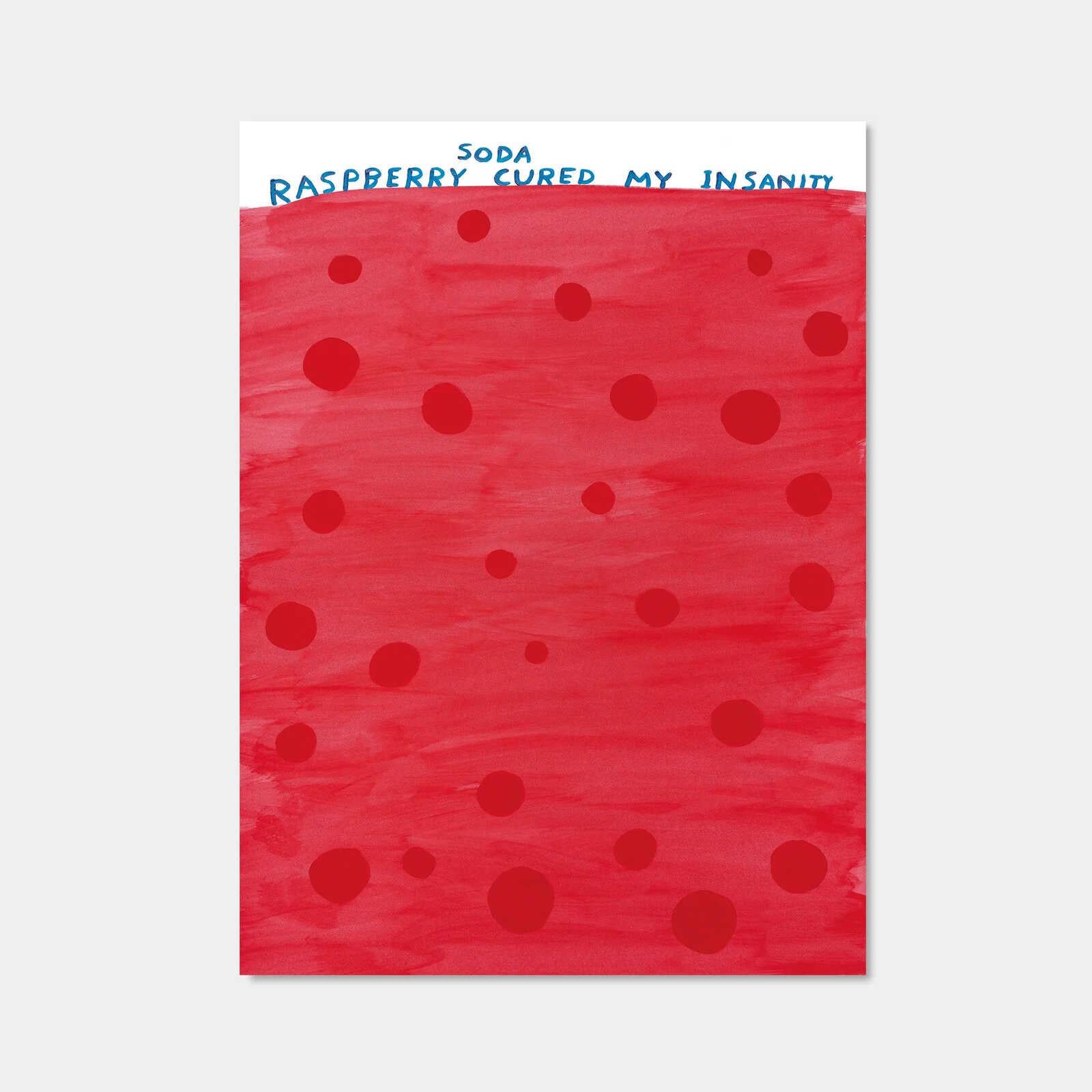 David Shrigley Print - Raspberry Soda Cured My Insanity