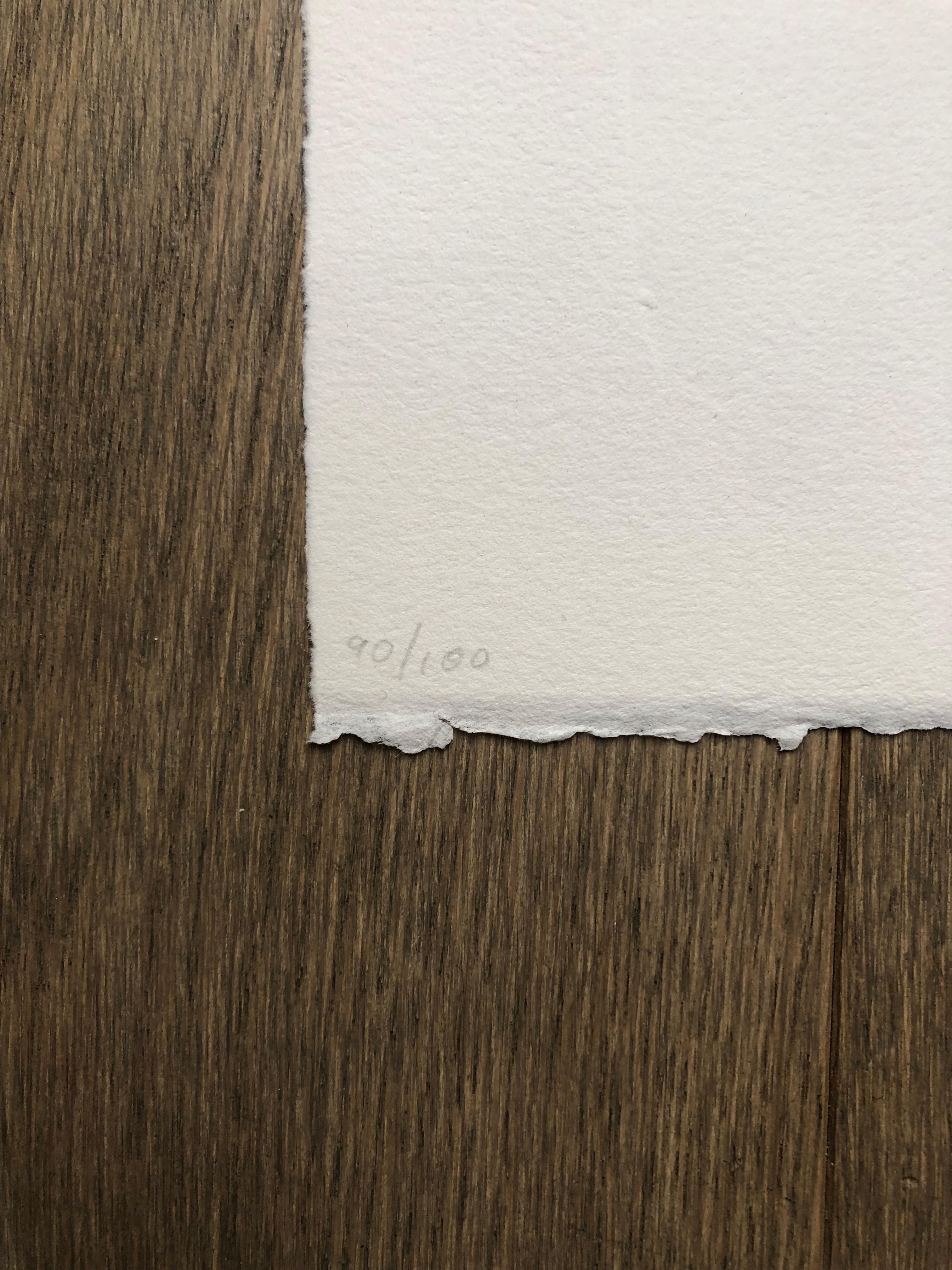 The Paper Weighs Nothing but the Ink Is Heavy - Print by David Shrigley