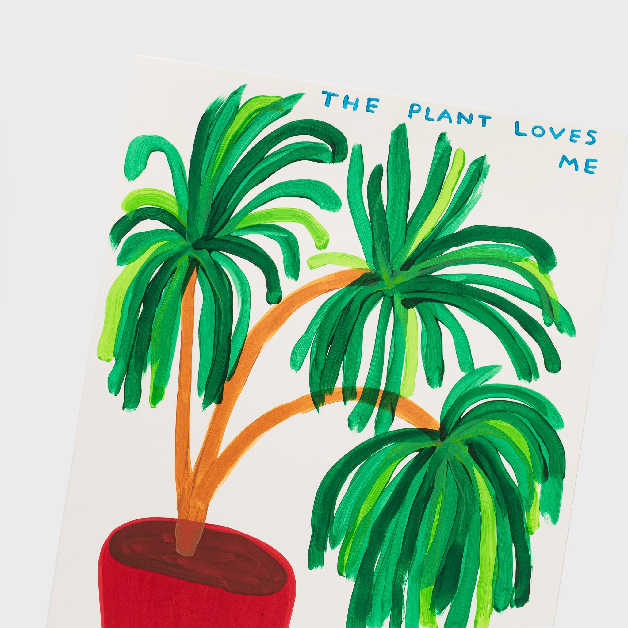 The Plant Loves Me I Am So Lucky - Print by David Shrigley