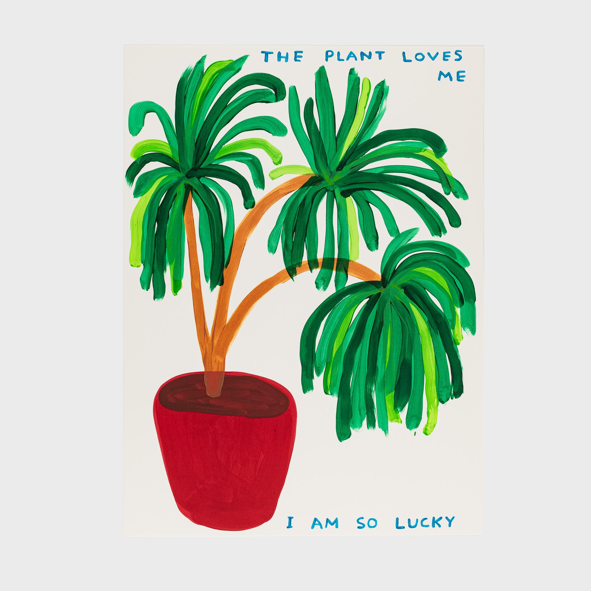 David Shrigley Still-Life Print - The Plant Loves Me I Am So Lucky
