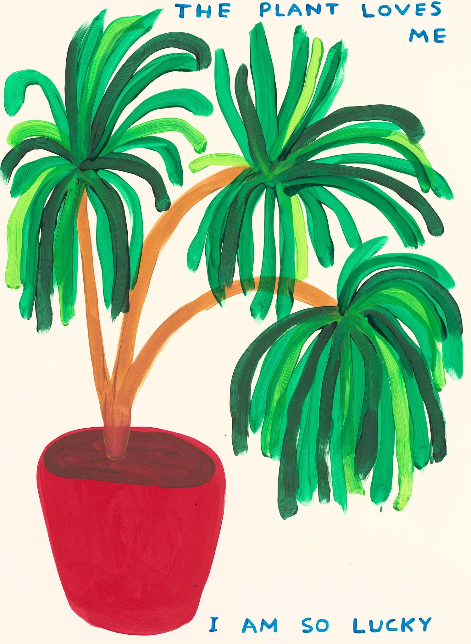 The Plant Loves Me, 2023 
David Shrigley

Screenprint in colours with a varnish overlay
On Somerset Satin Tub sized 410 gsm
Signed and numbered from the edition of 125 verso
Sheet: 56 × 76 cm (22 × 29.9 in)