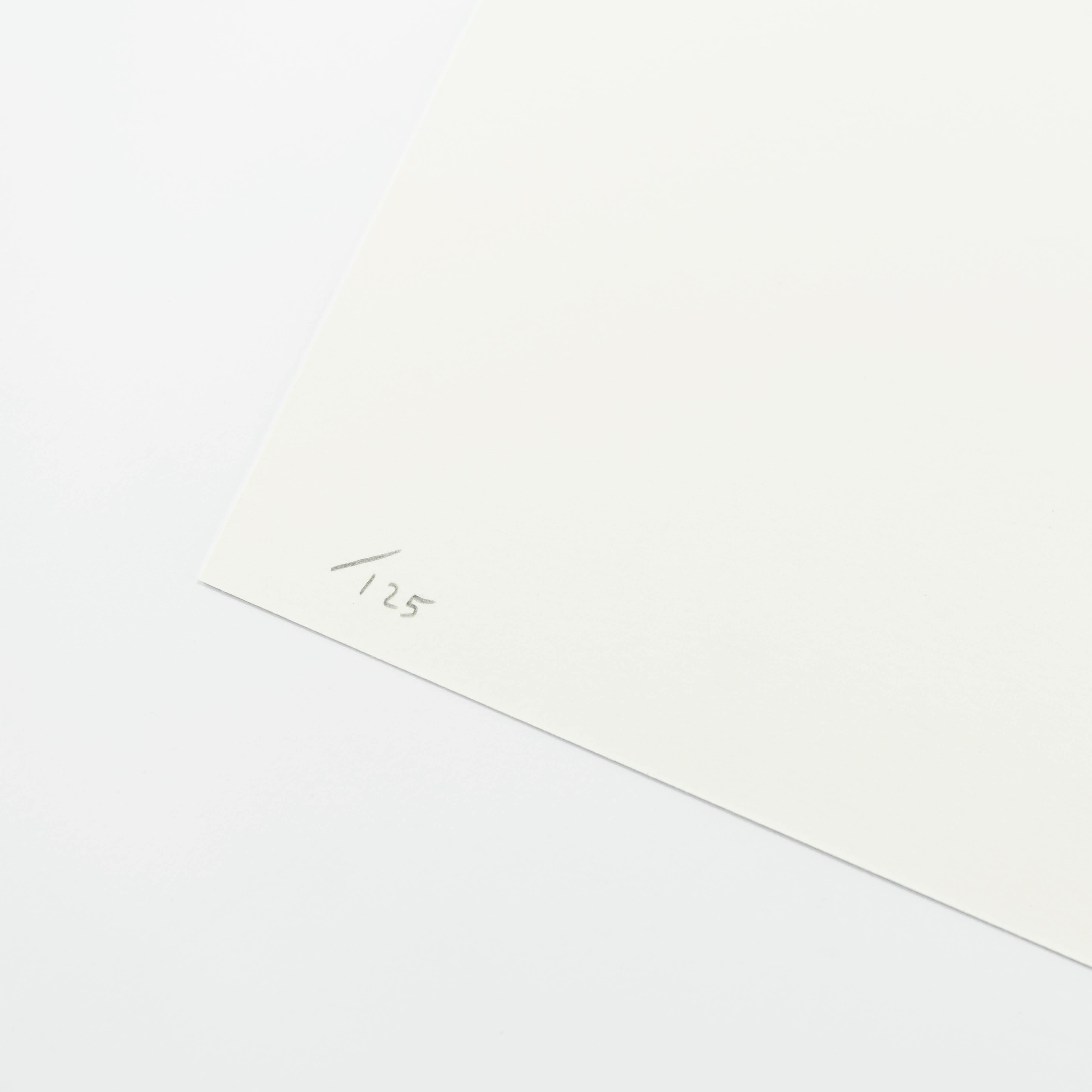 Sérigraphie 8 couleurs avec vernis de recouvrement sur Somerset Satin Tub 410 g/m².
Edition de 125
76 × 56 cm (29.9 × 22 in)
Signé et numéroté au dos
Menthe. De légères imperfections peuvent apparaître en raison du processus de production.

Étant