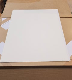 Testigo de mi alegría, 2022, Serigrafía en edición limitada de David Shrigley