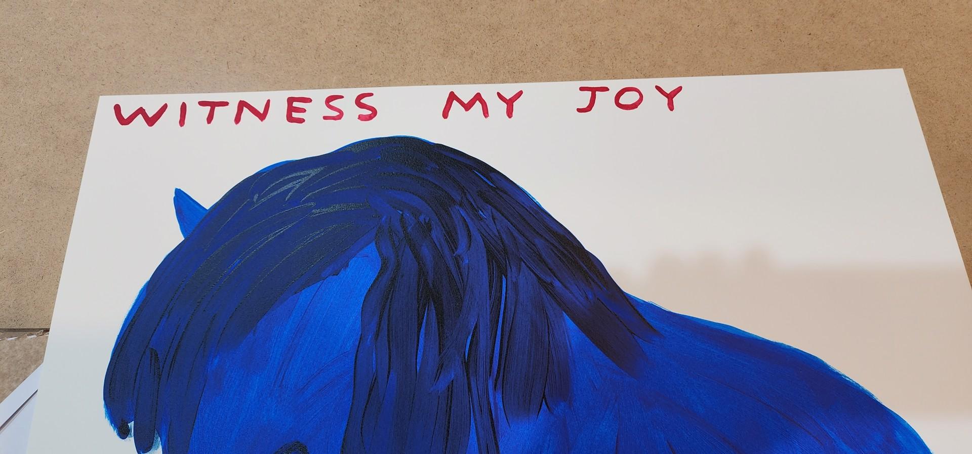 Witness my Joy, 2022, Siebdruck in limitierter Auflage von David Shrigley im Angebot 2