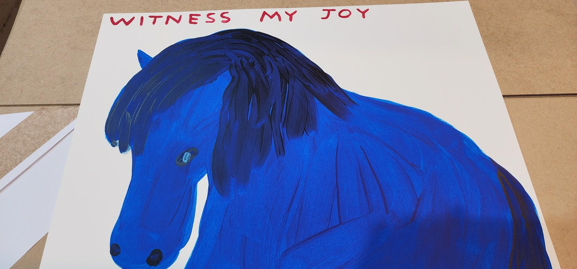 Witness my Joy, 2022, Siebdruck in limitierter Auflage von David Shrigley im Angebot 3