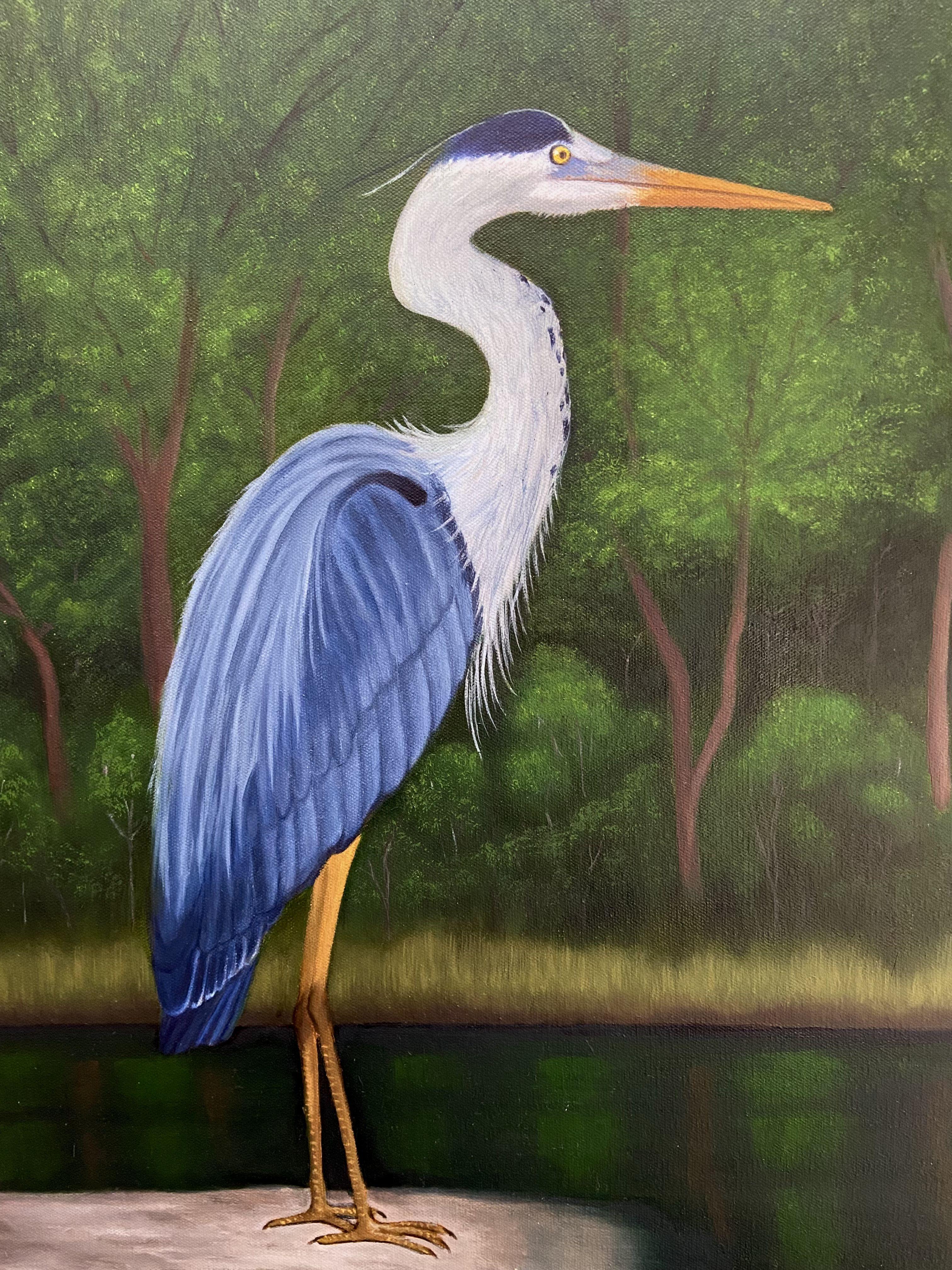 This is a Great Blue Heron on the watch, waiting for his next meal to appear.  This is an oil on canvas done on a 1.5" gallery wrap canvas so it will give your space a very nice statement.   This piece will look perfect in your home or place of