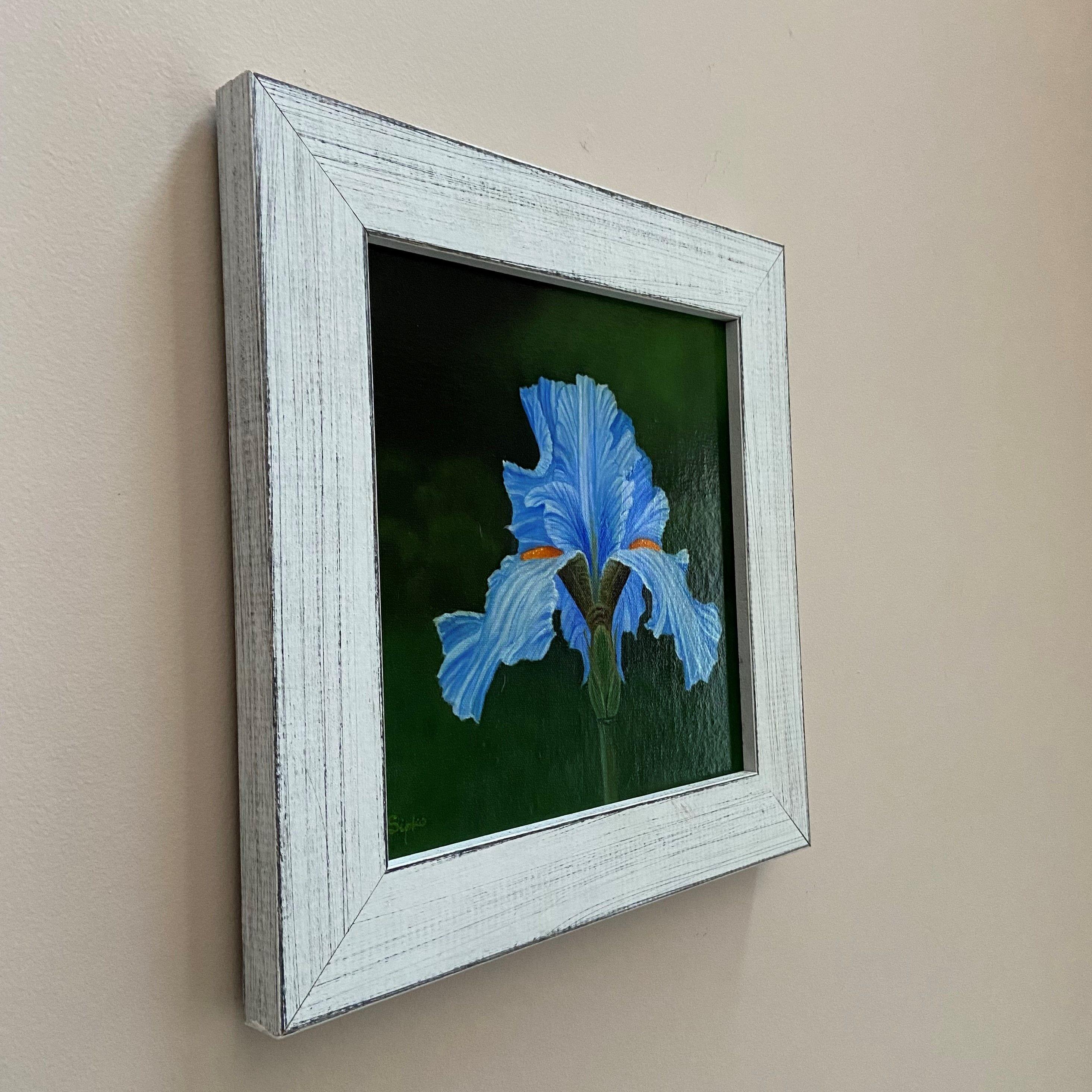 This is a Bearded Iris done in dramatic garden light. The piece is 8 x 8 on a linen panel. This piece is framed in a distressed barn-wood style frame and has been varnished and is now ready to hang in your home or place of business. It has a nice