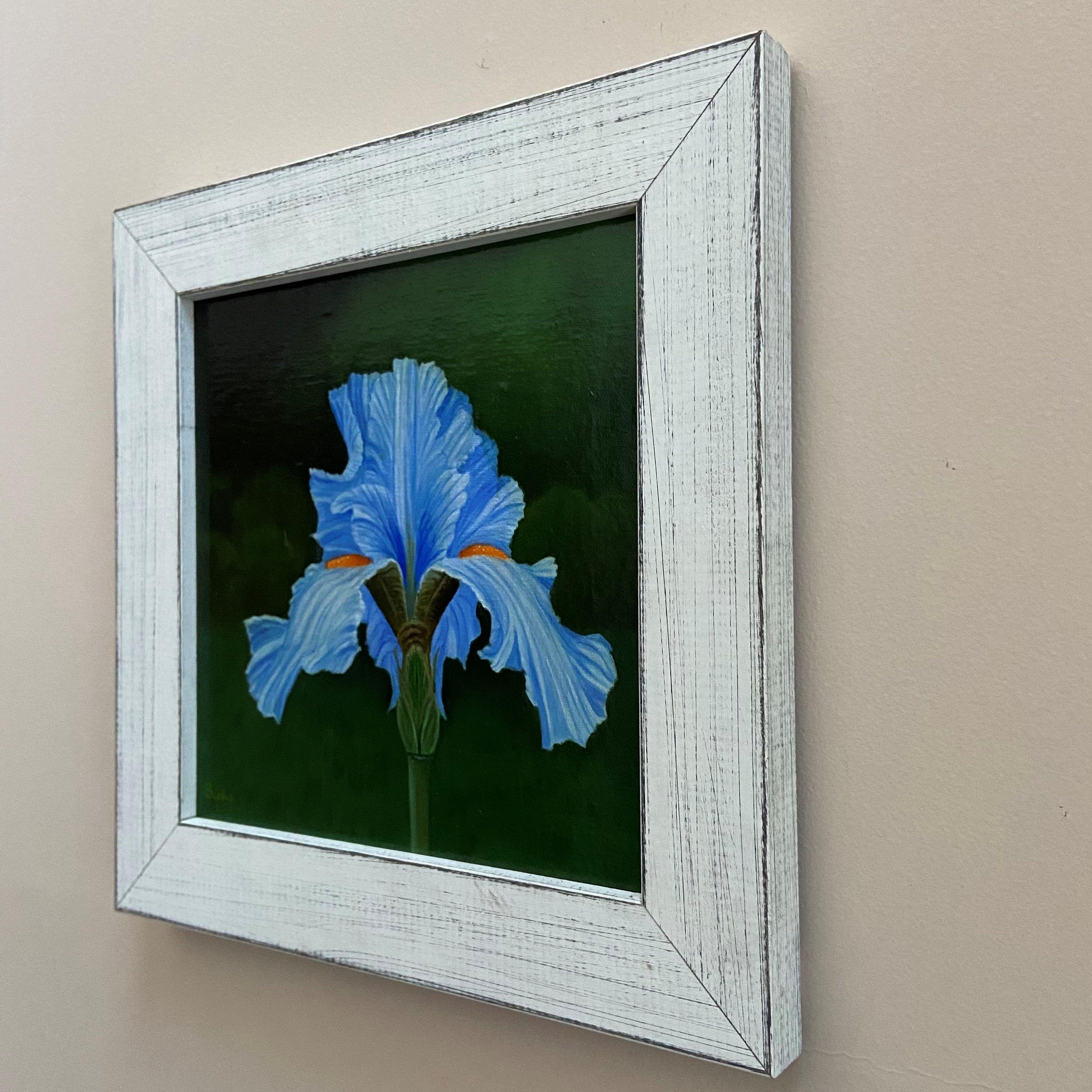 Bearded Iris, Painting, Oil on MDF Panel For Sale 3
