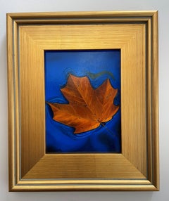 Drifting Away, Painting, Oil on MDF Panel