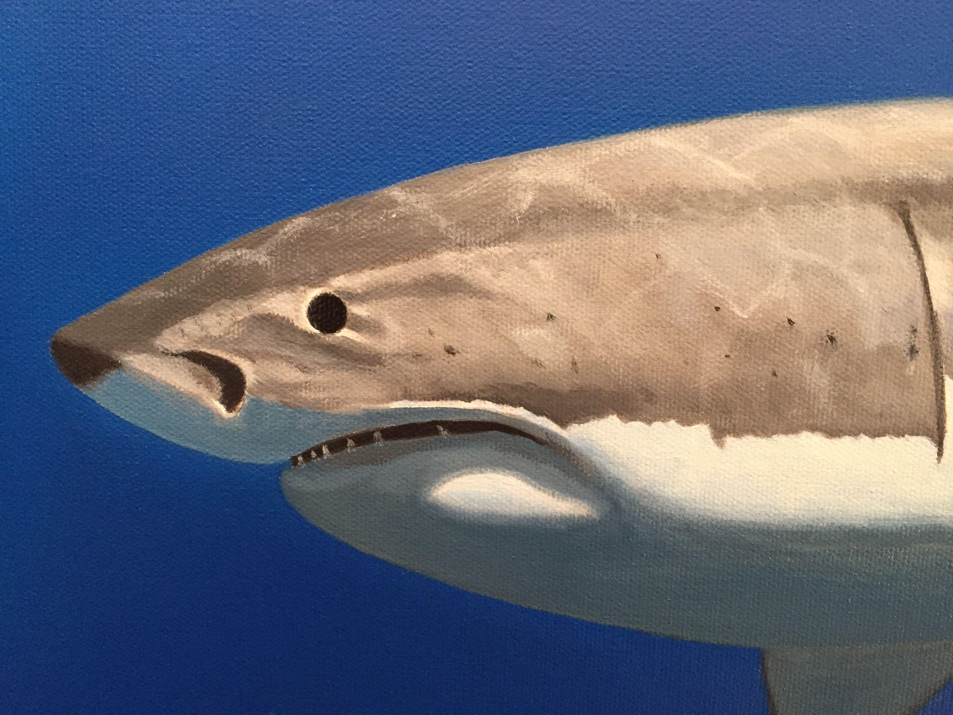 Great White, Painting, Oil on Canvas For Sale 1