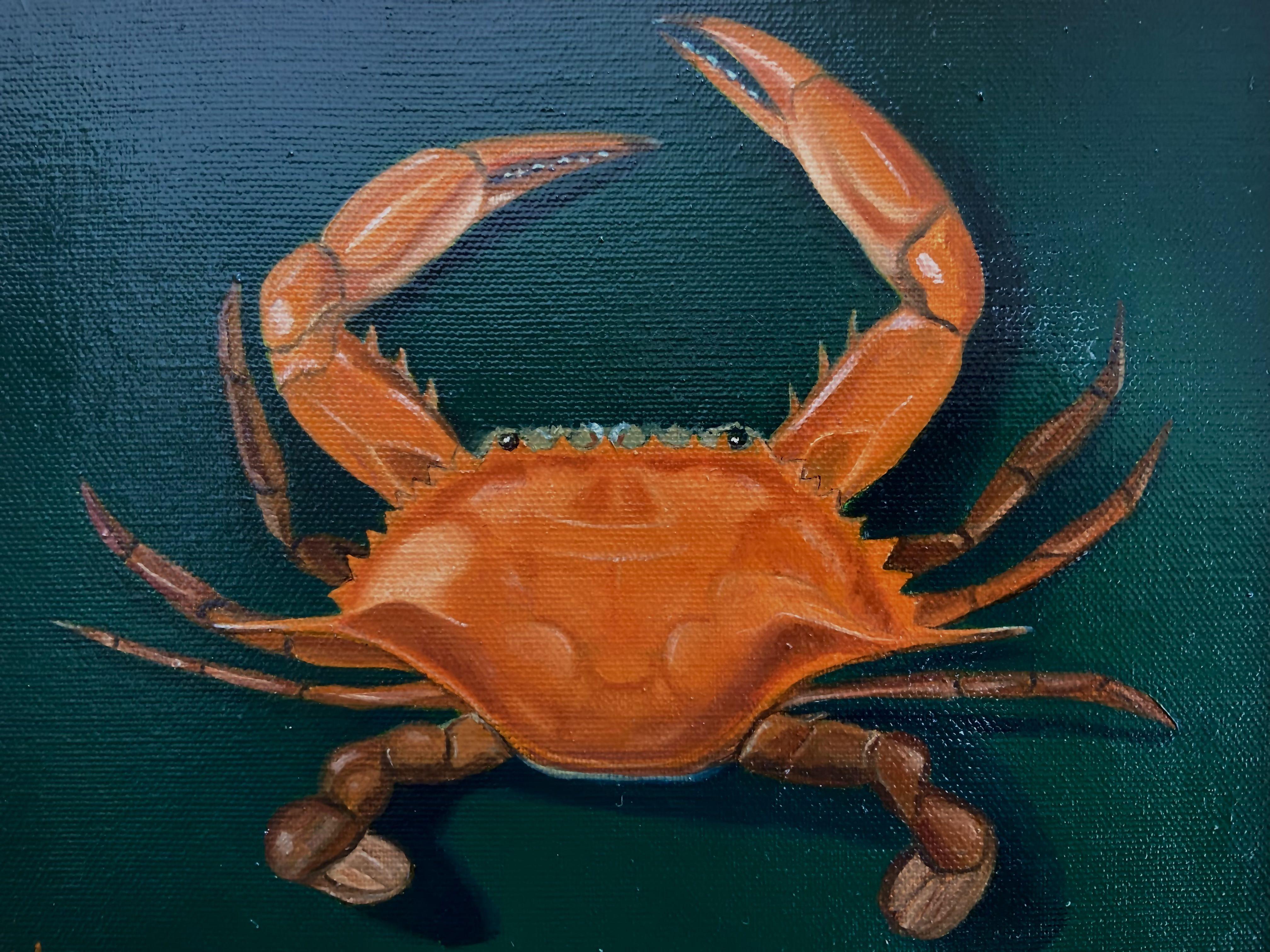 This piece is a Maryland Blue Crab that has been cooked and ready to hang on your wall.  This piece will make a great addition to your home or business where you gather with friends for those memorable crab feasts.  The piece is 8x10 on canvas,