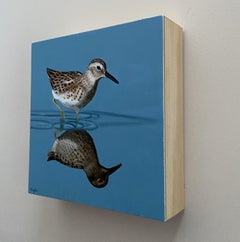 Sandpiper, Painting, Oil on Wood Panel